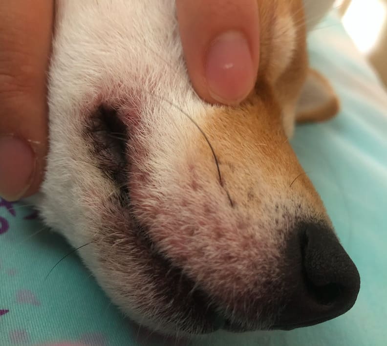 Question details sensitive content