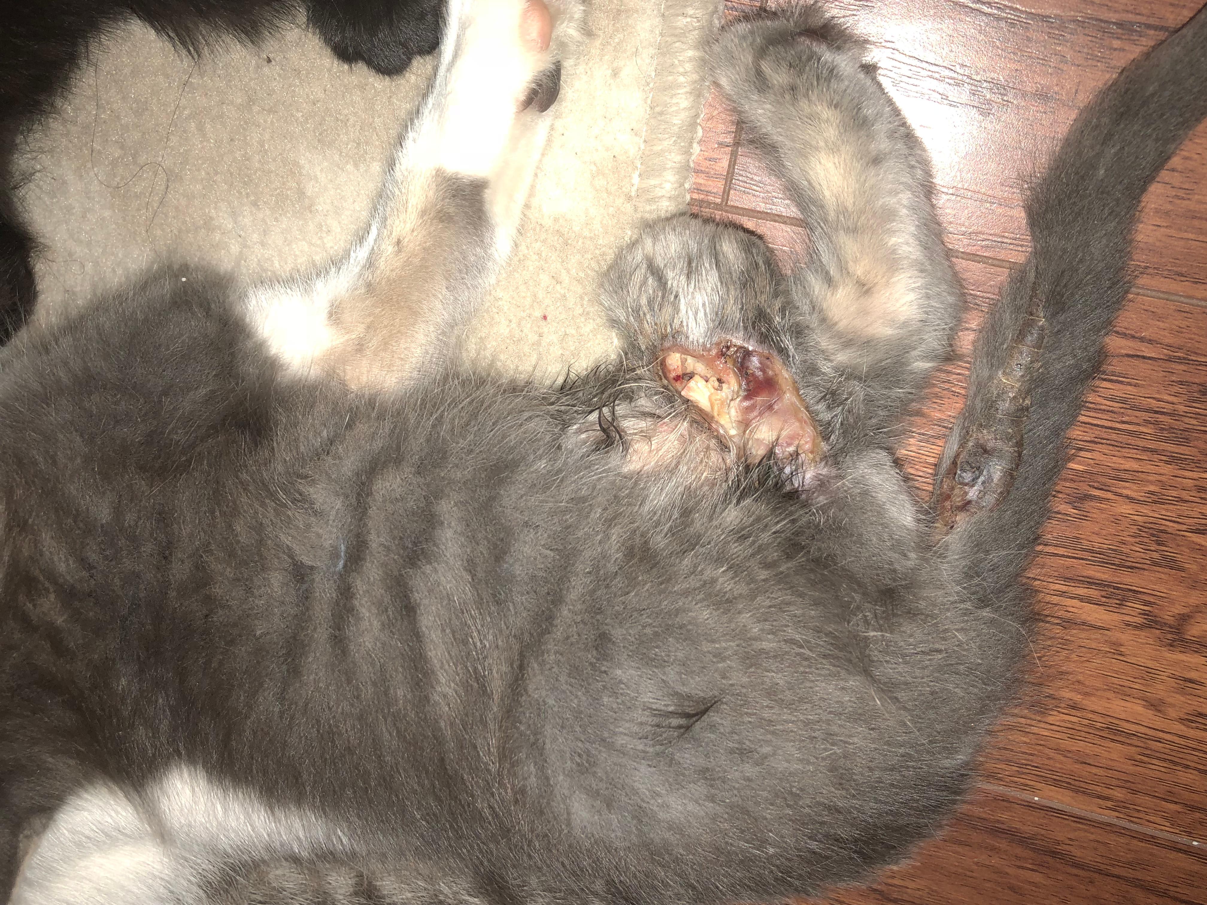 Question details sensitive content