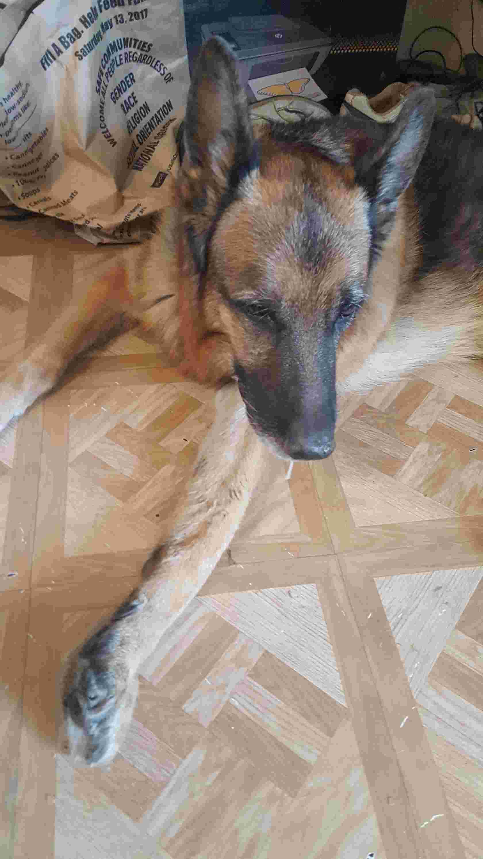 Question details sensitive content