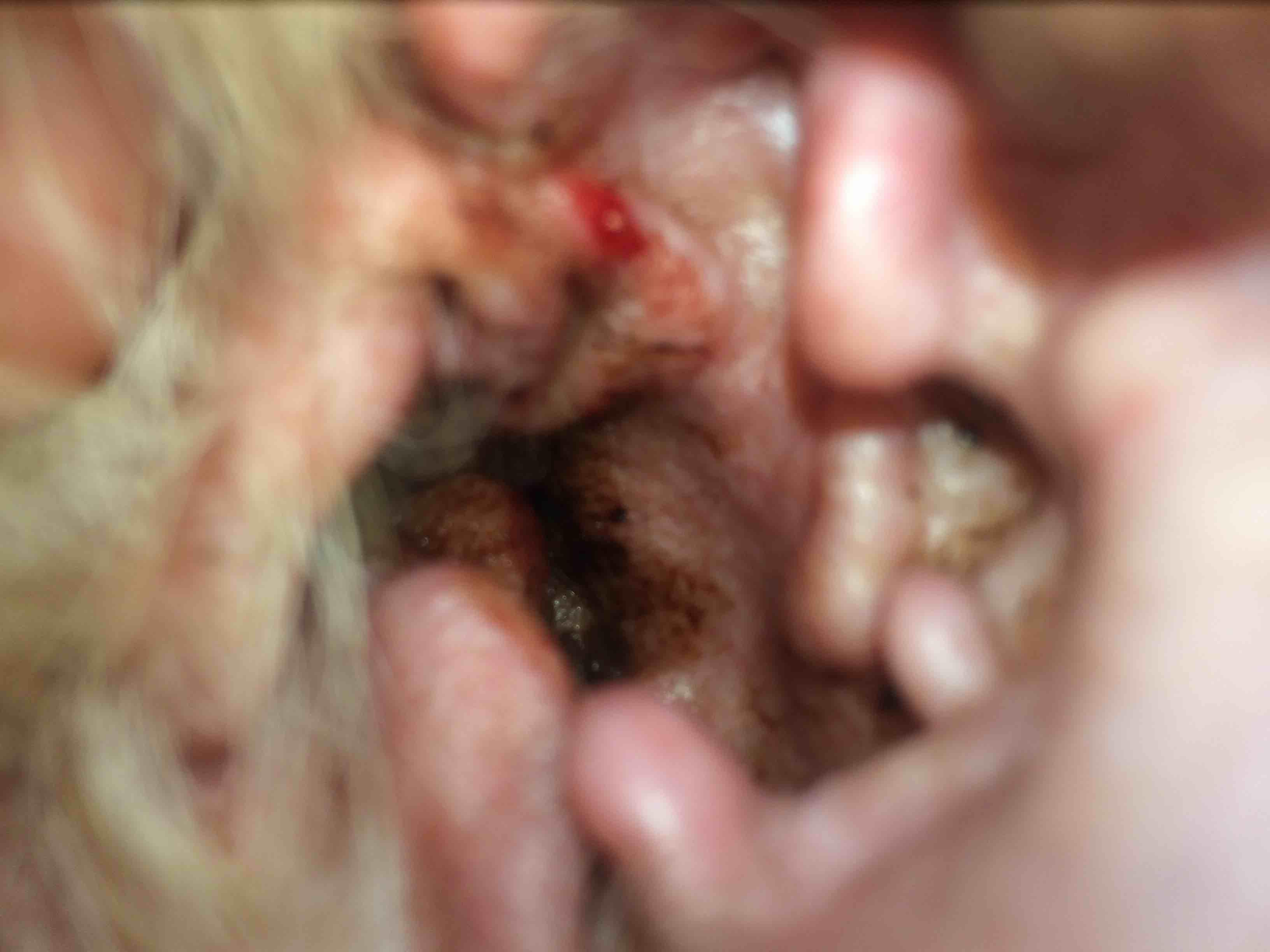 Question details sensitive content