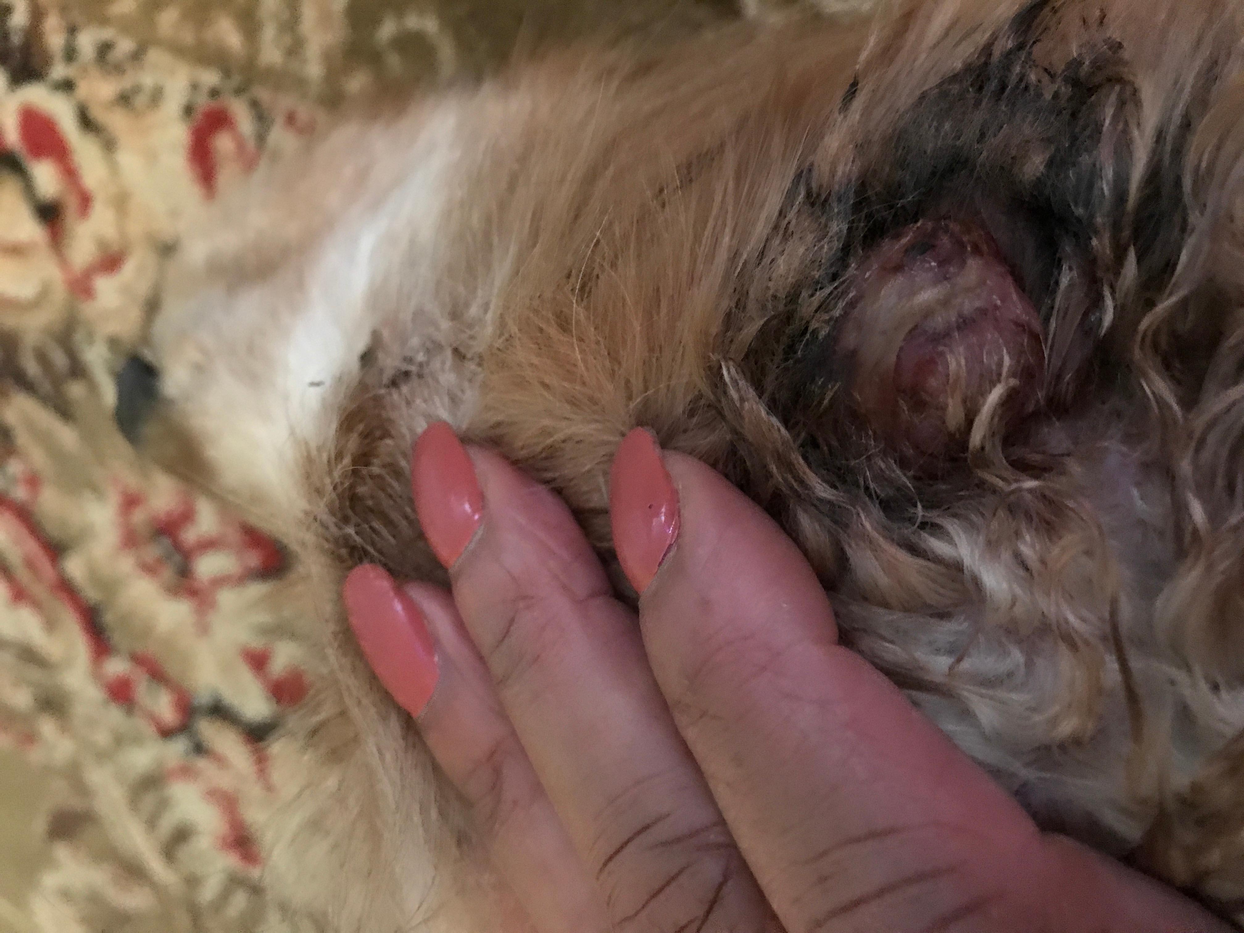 Question details sensitive content