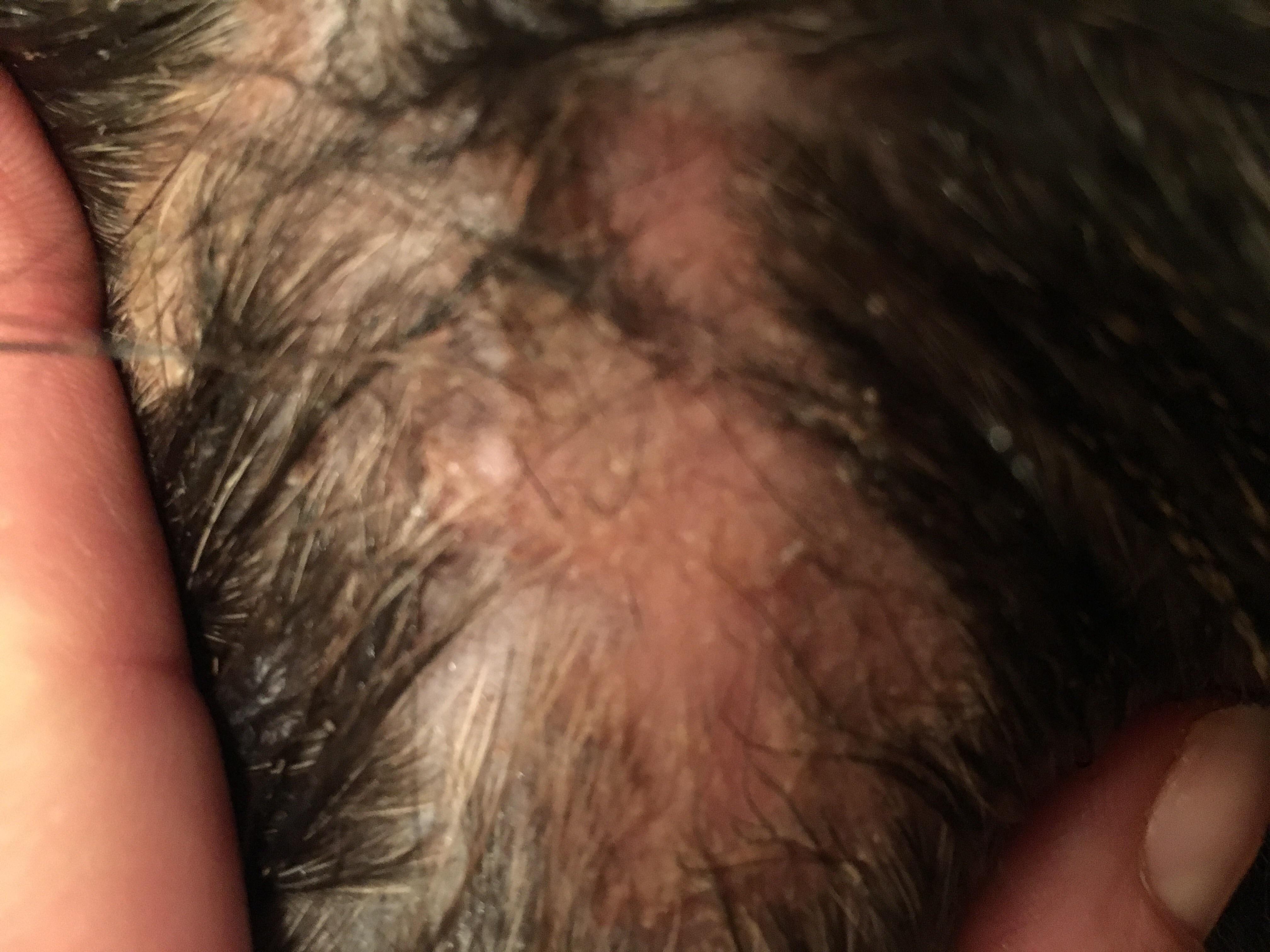 Question details sensitive content