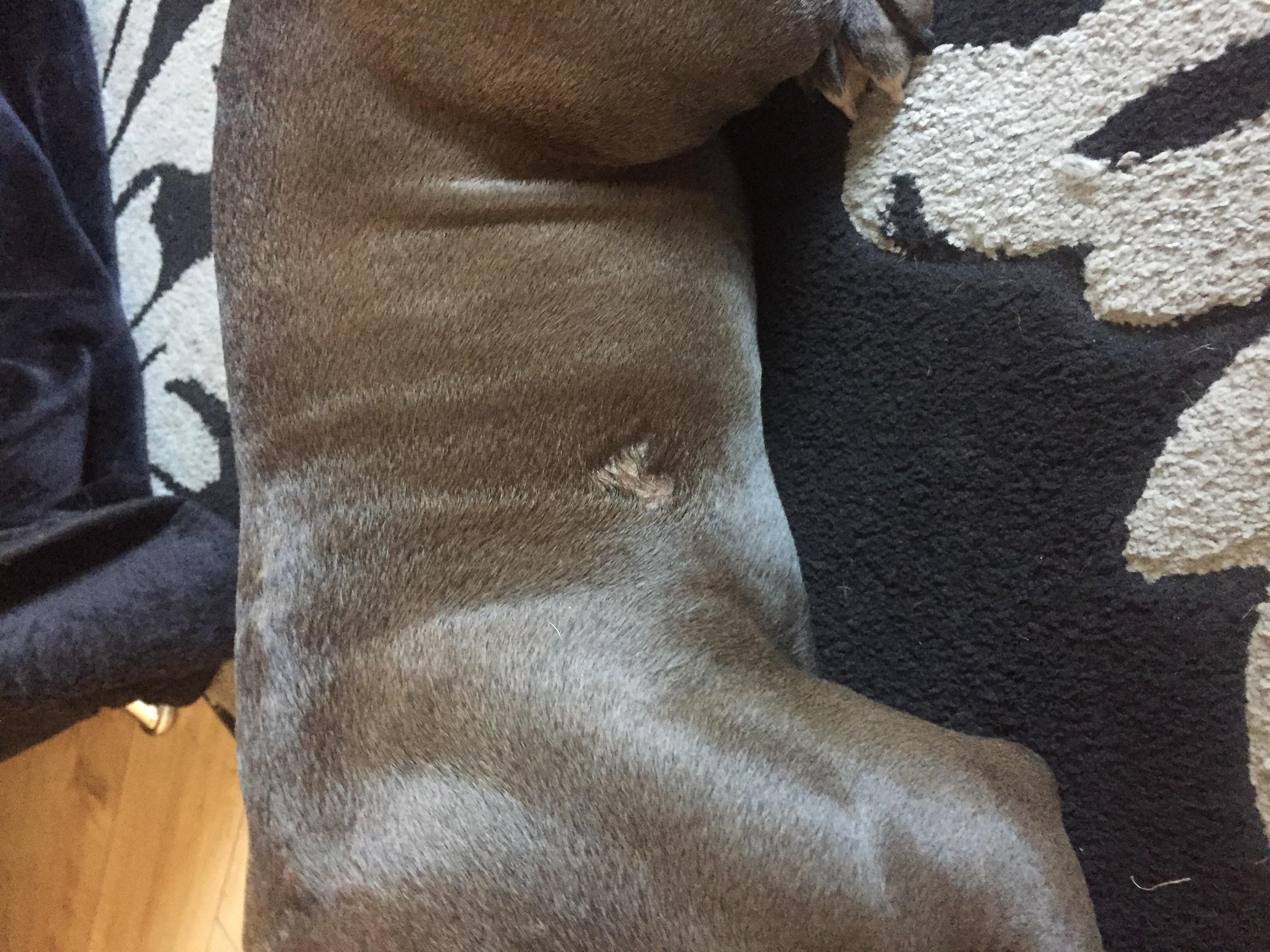 Question details sensitive content