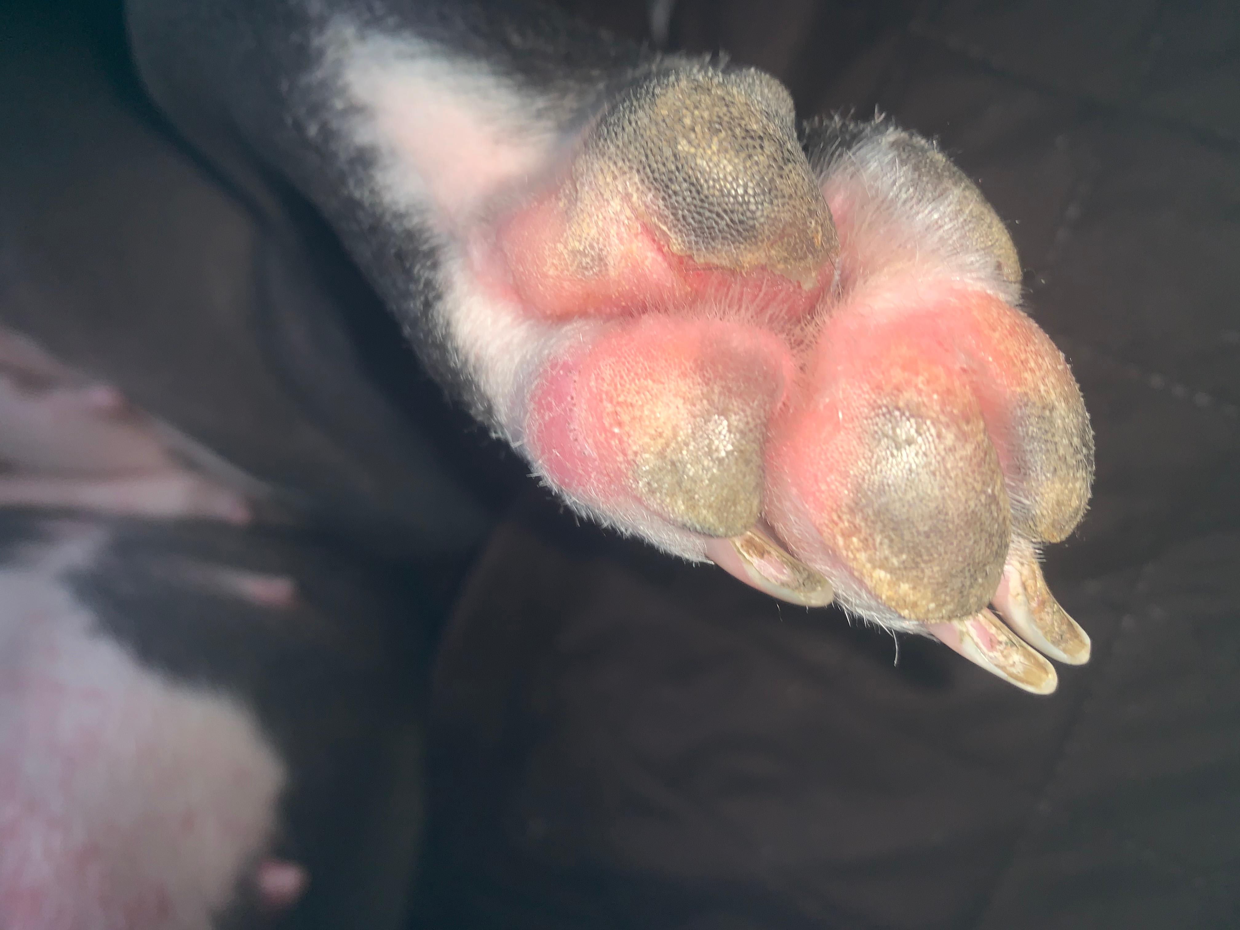 Question details sensitive content