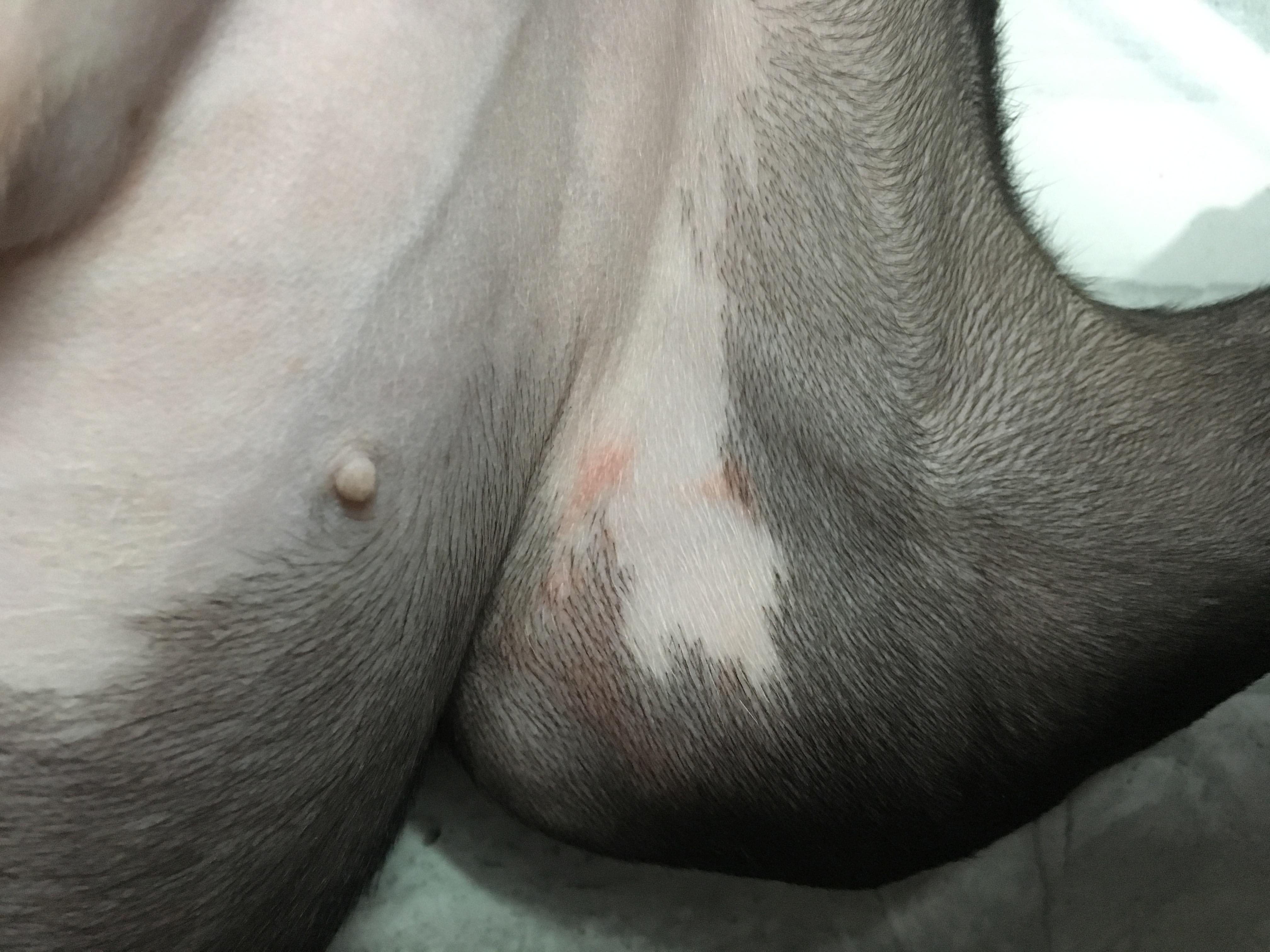 Question details sensitive content