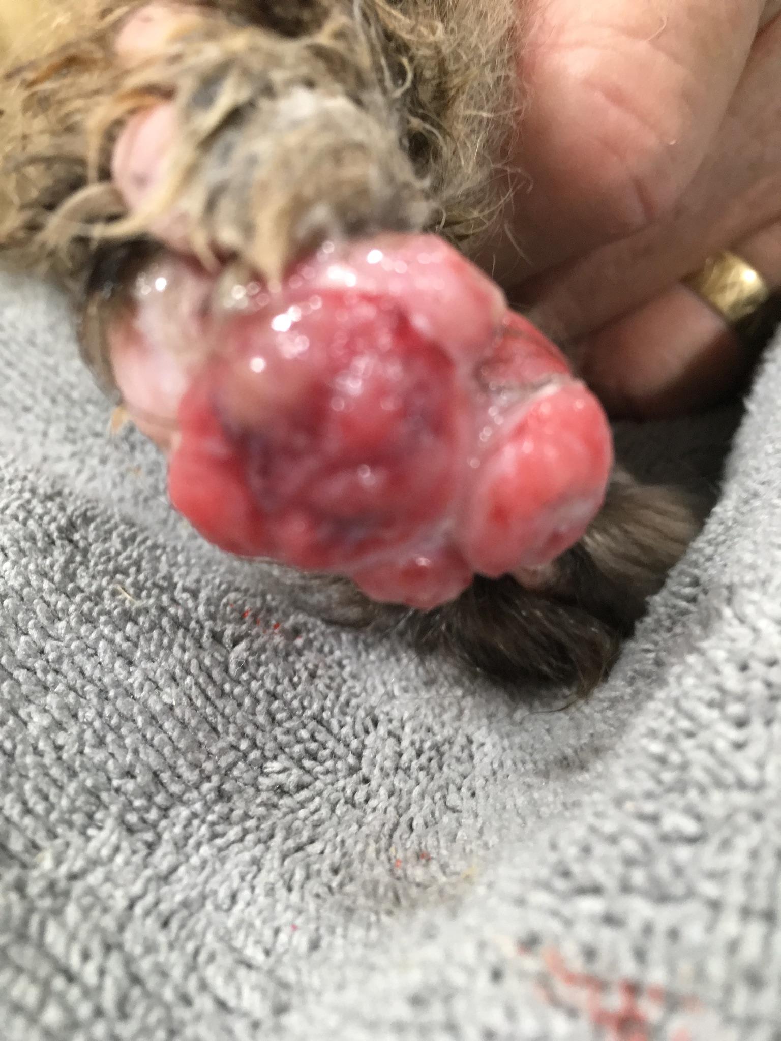 Question details sensitive content