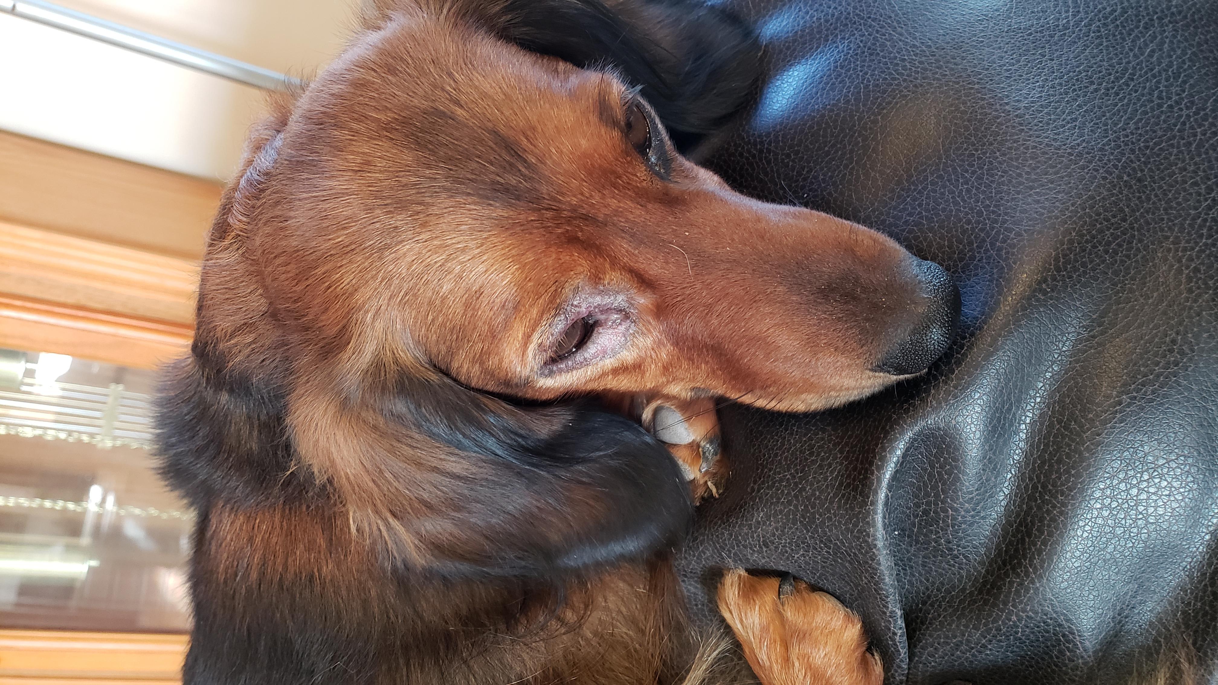 Question details sensitive content