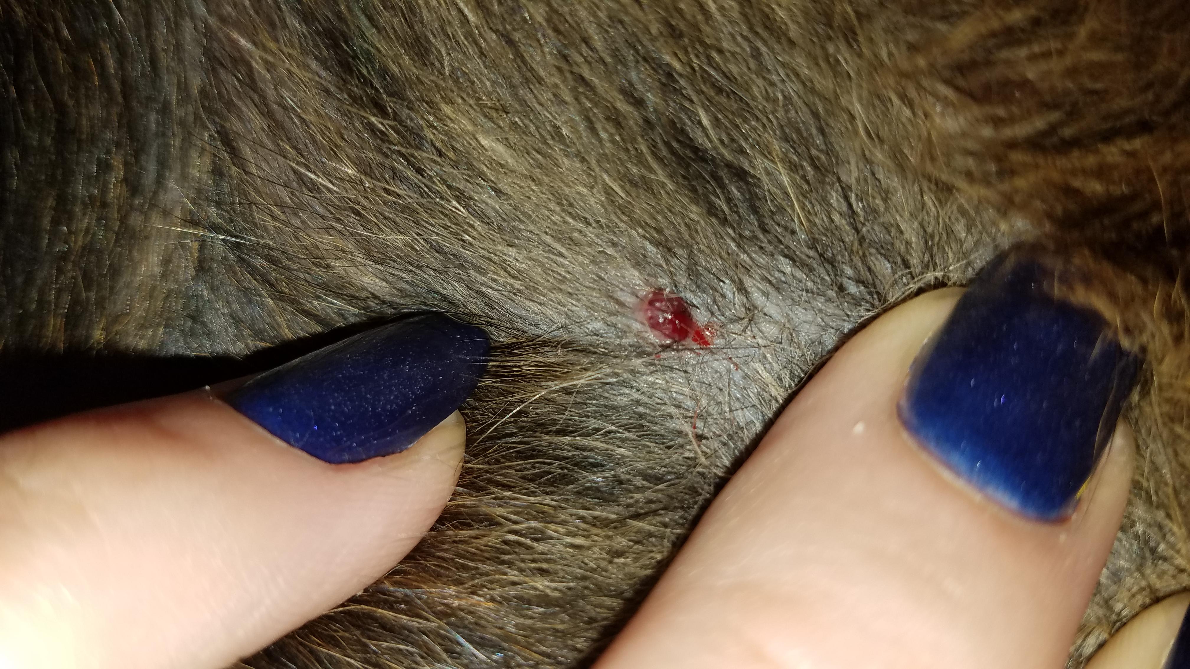 Question details sensitive content