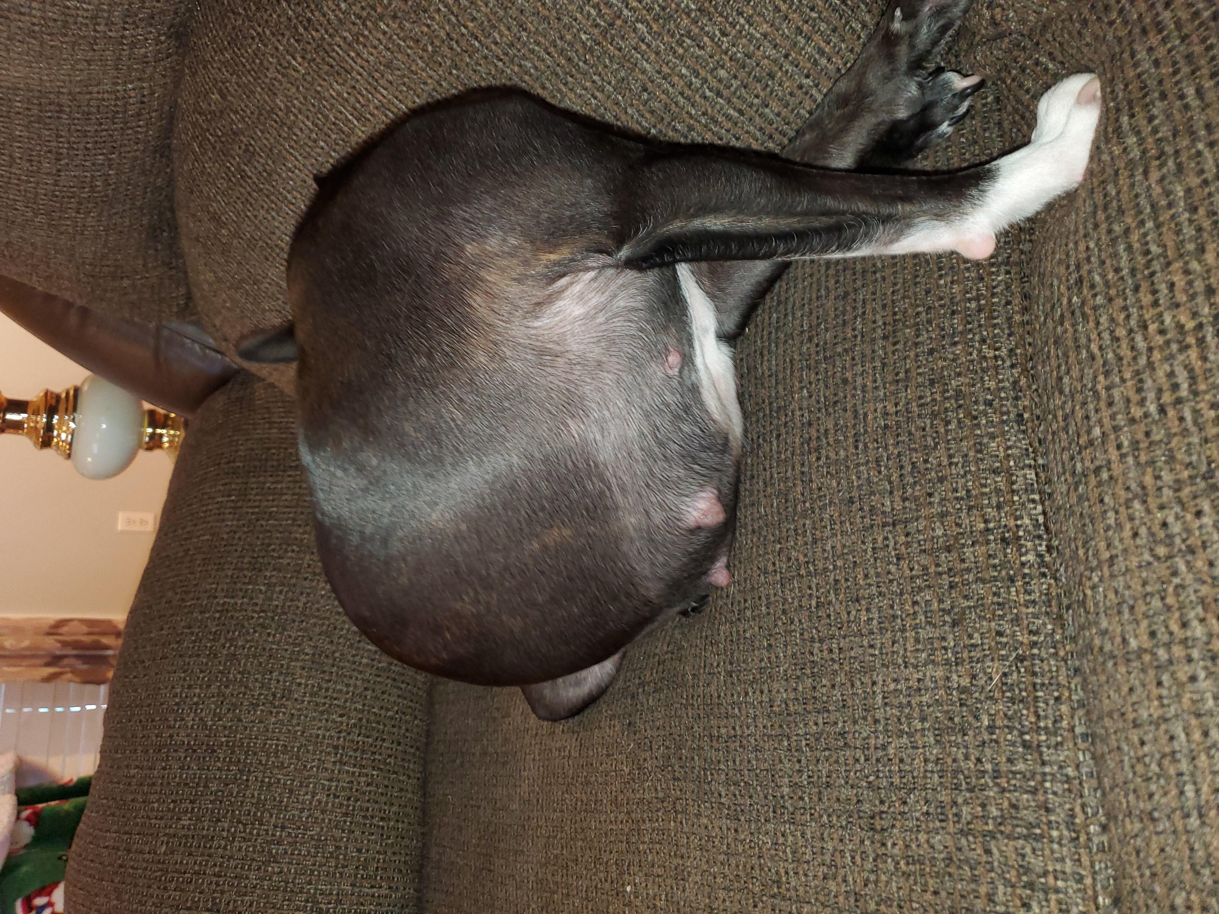 Question details sensitive content