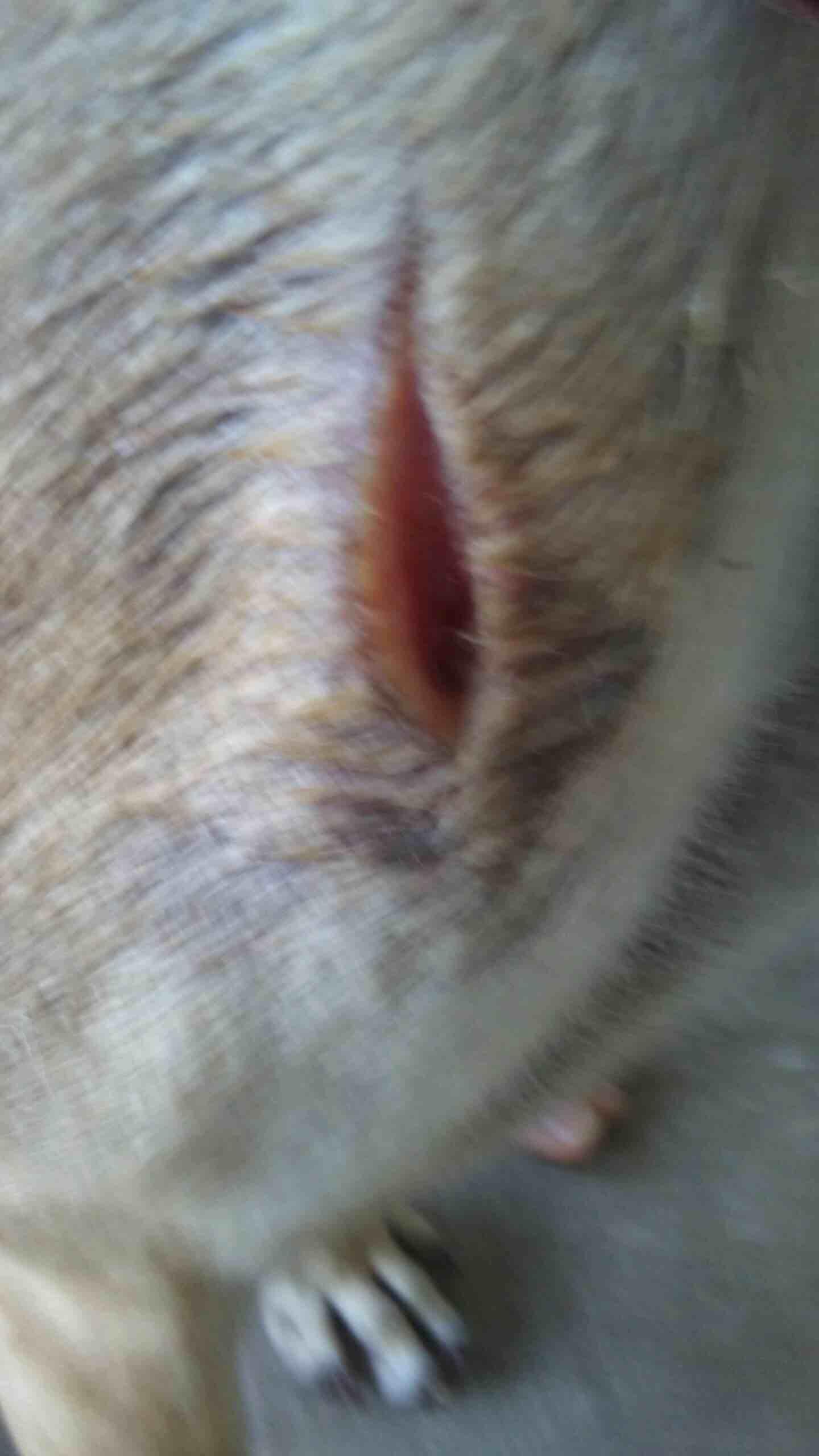 Question details sensitive content