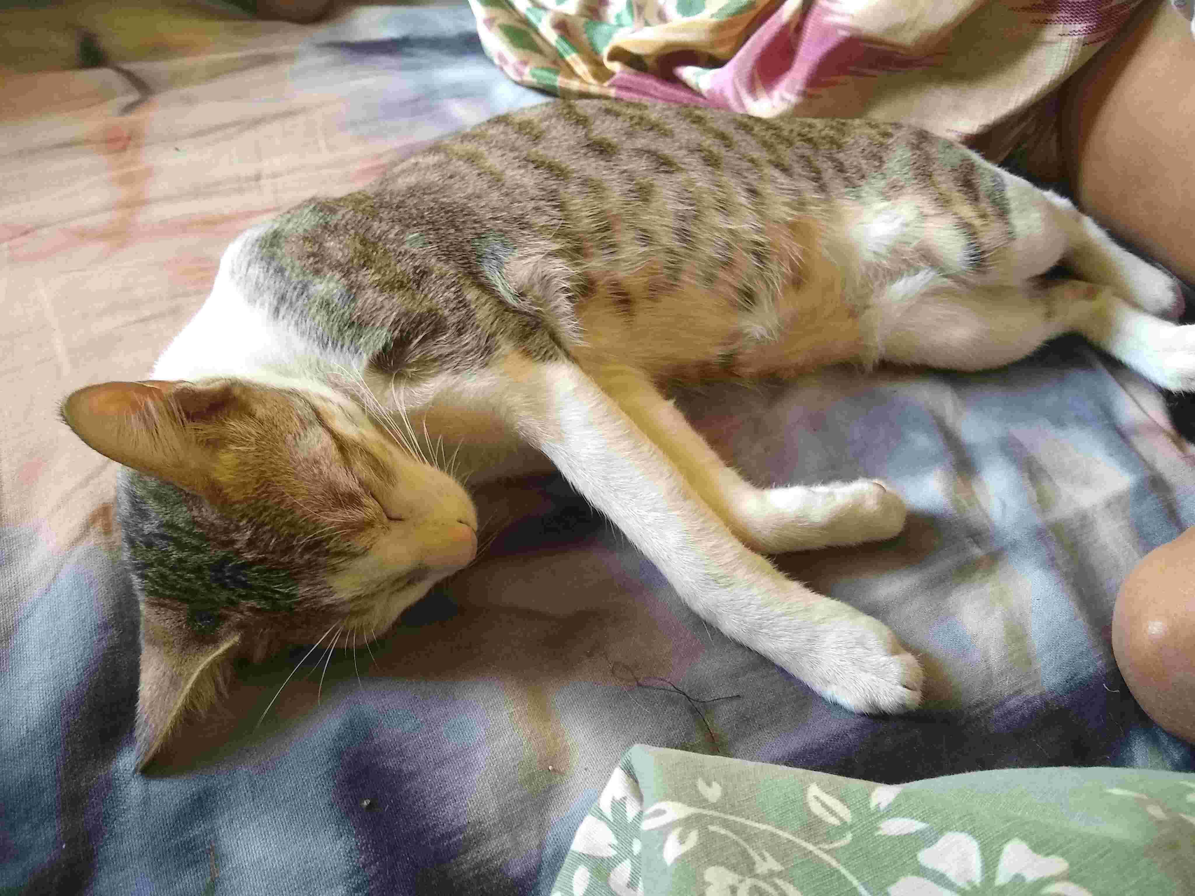 Question details sensitive content