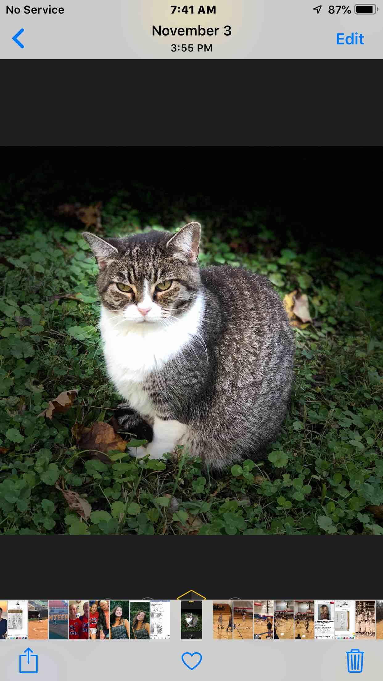 Question details sensitive content