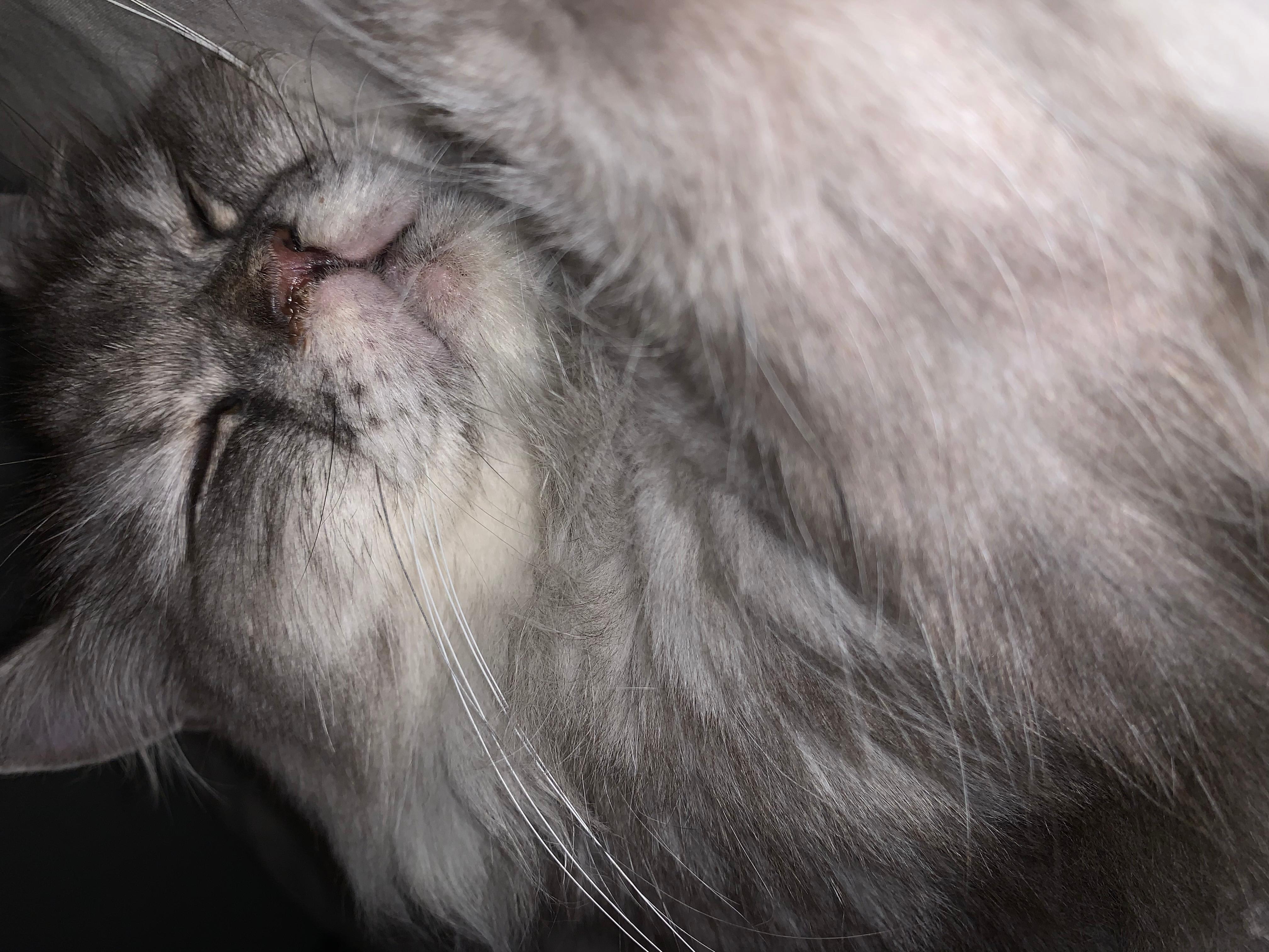 Question details sensitive content