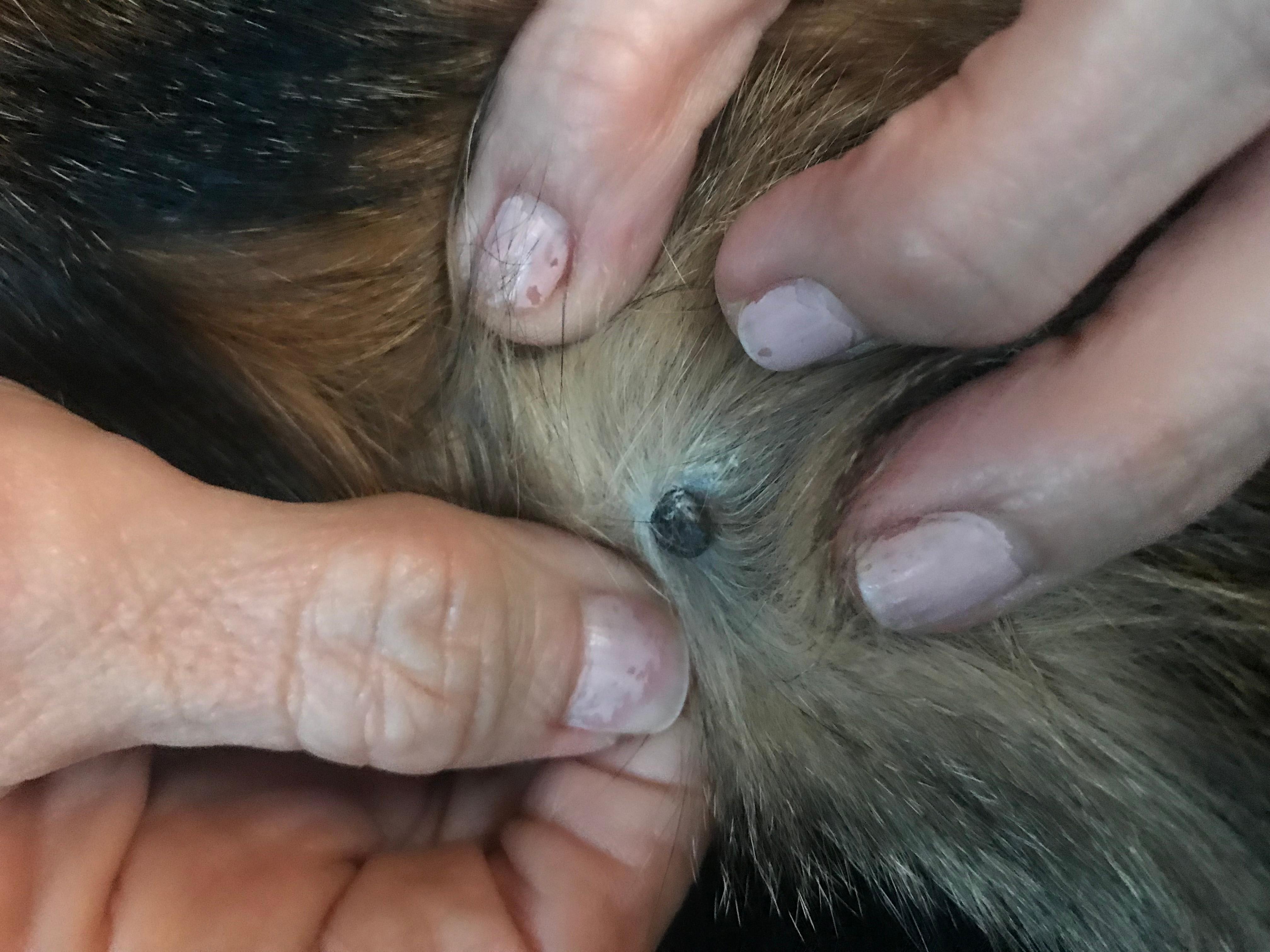 Question details sensitive content