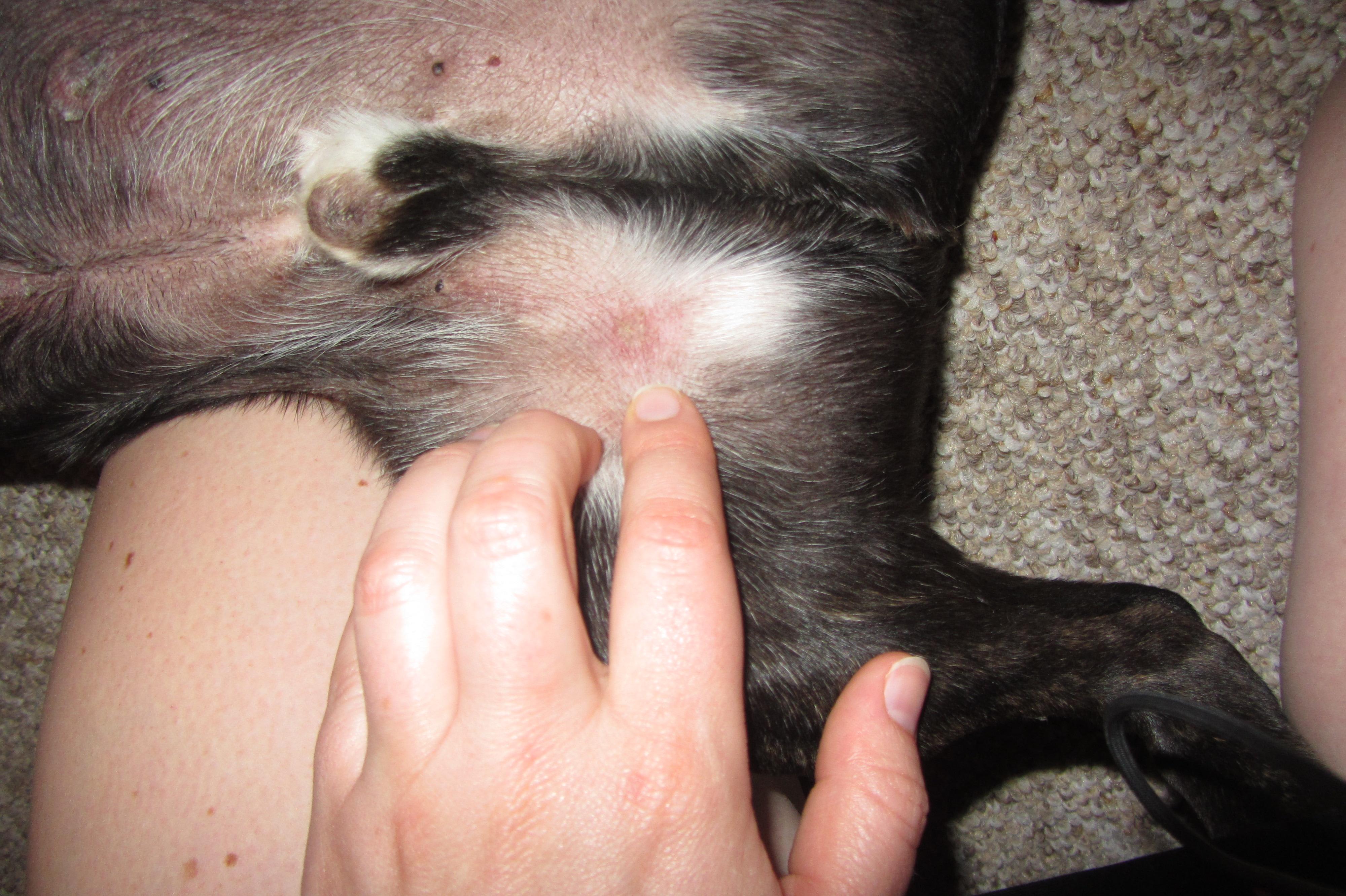 Question details sensitive content