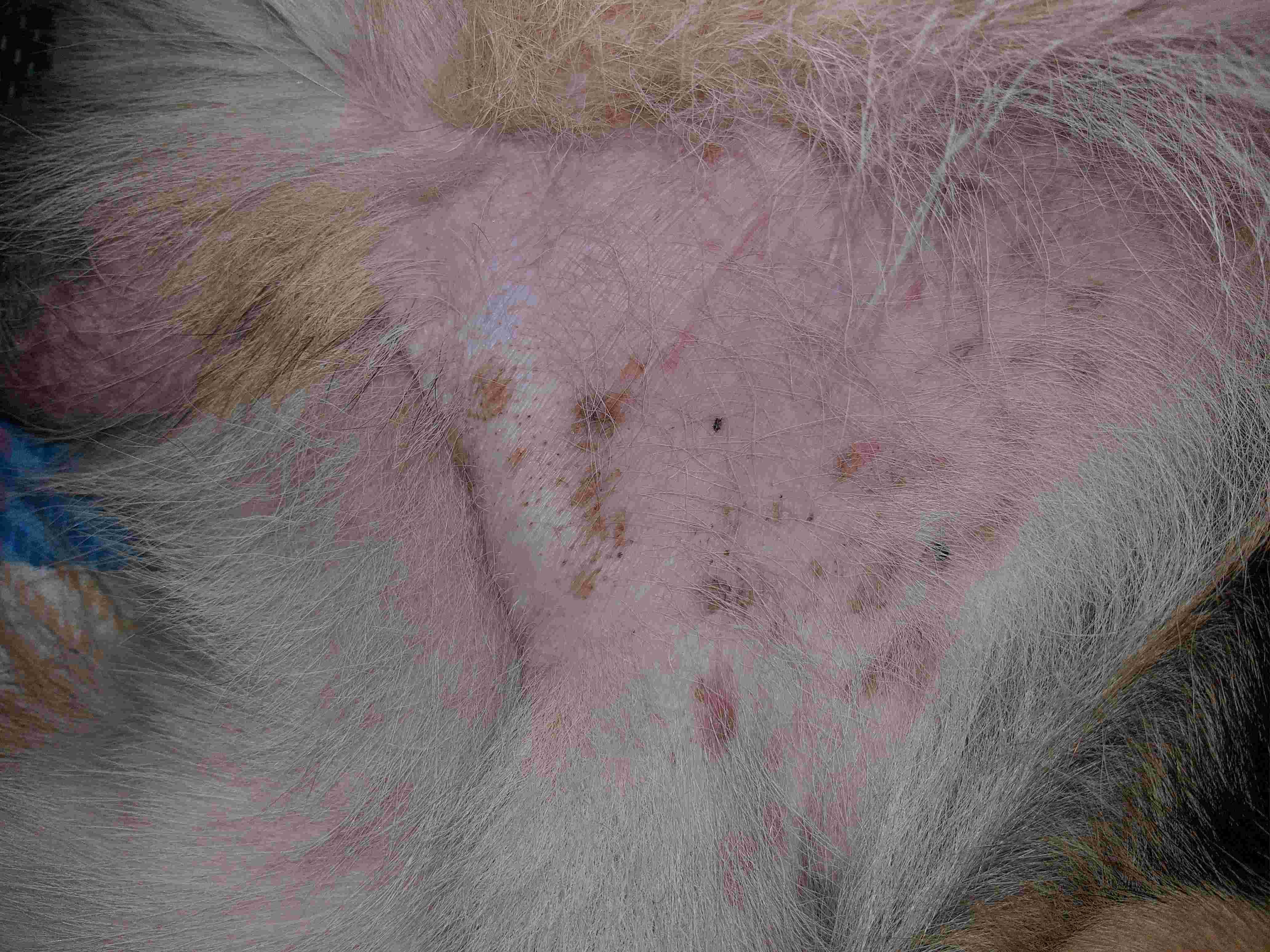 Question details sensitive content