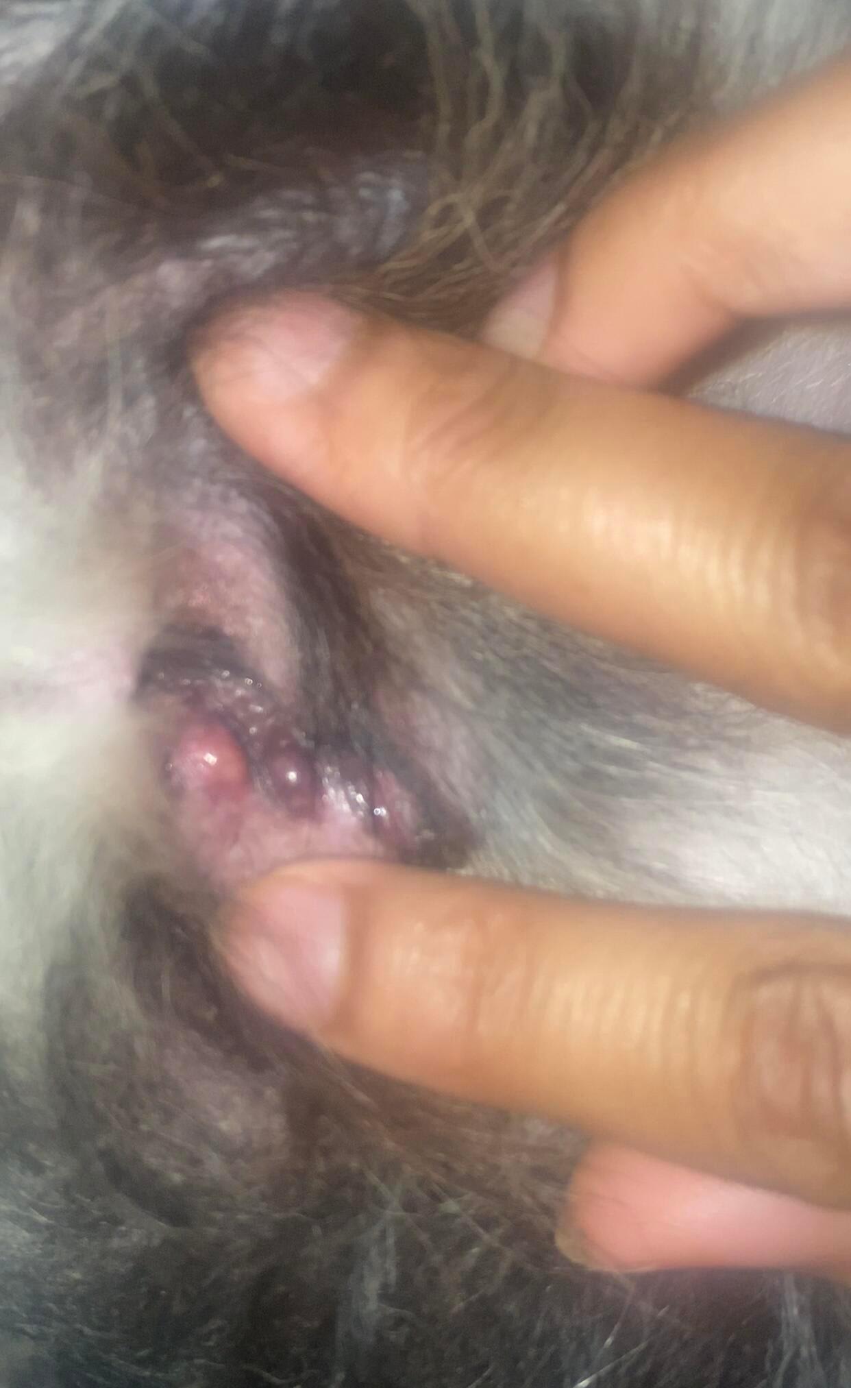 Question details sensitive content