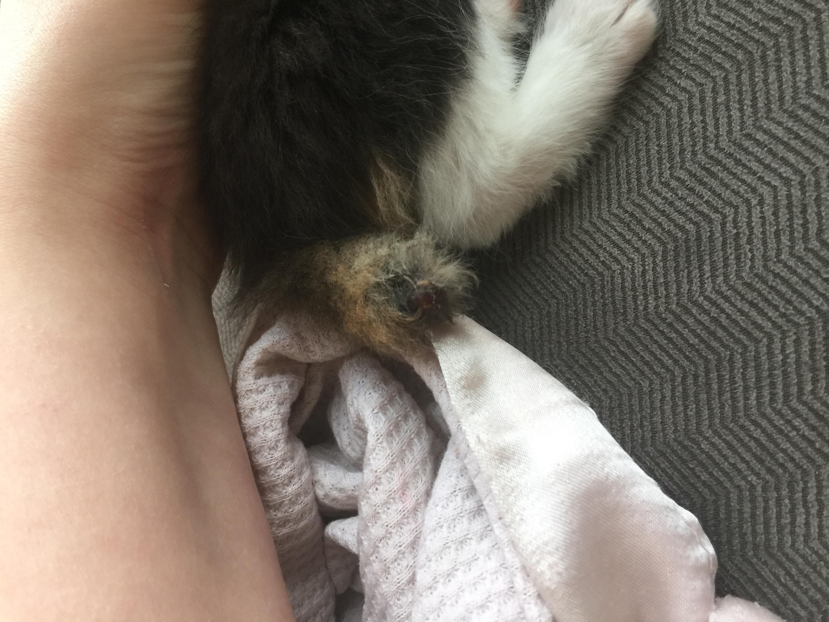 Question details sensitive content