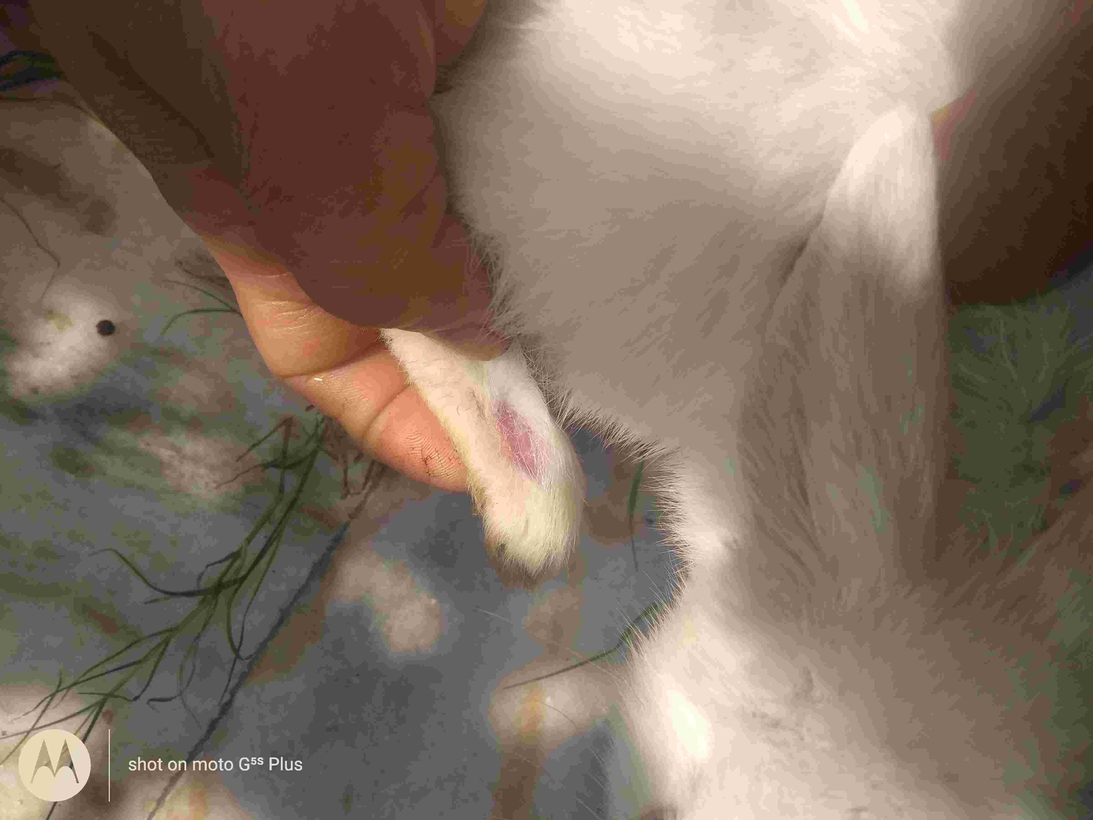 Question details sensitive content