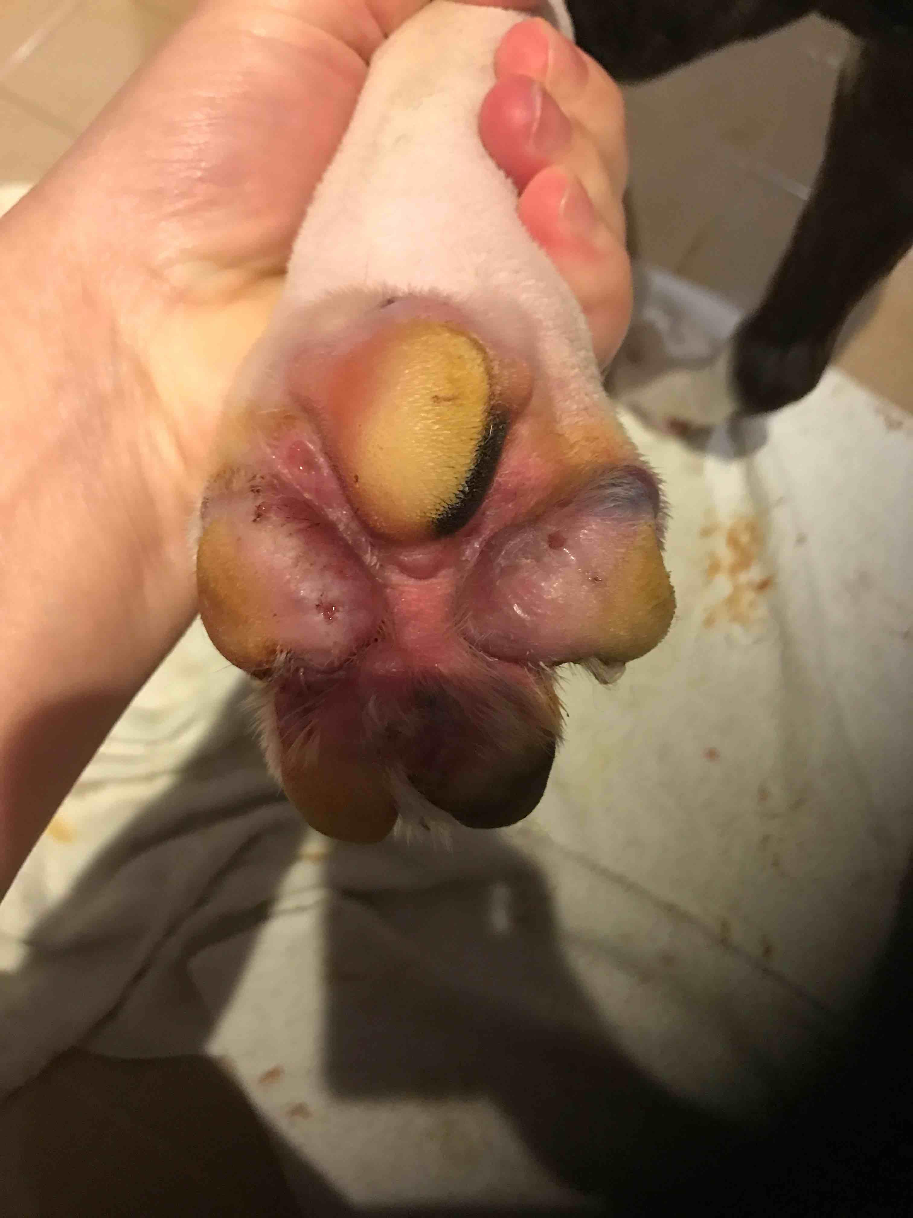 Question details sensitive content