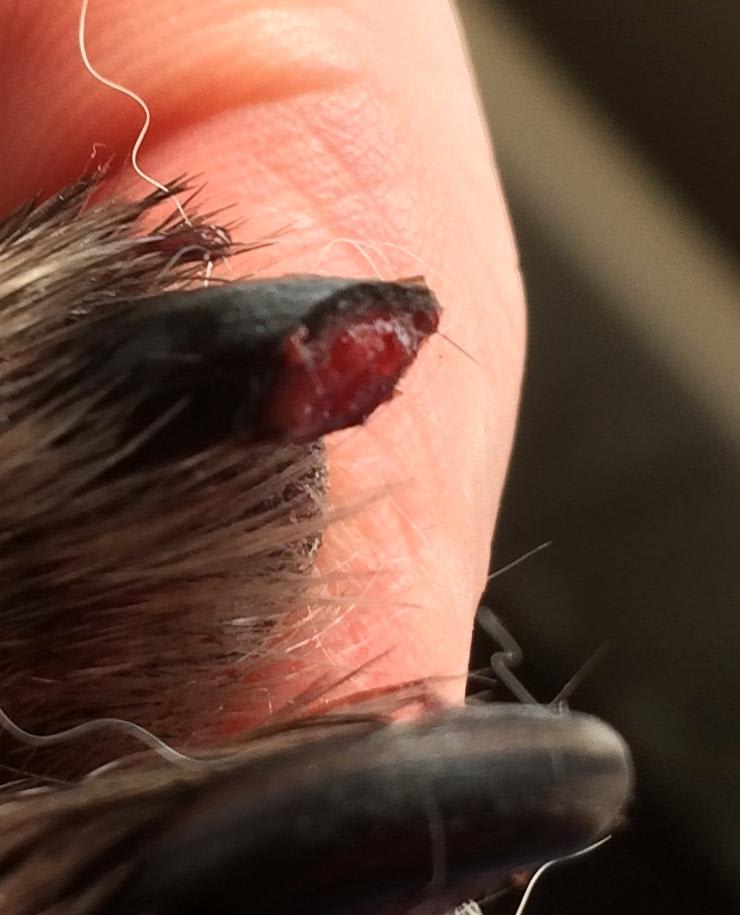 Question details sensitive content