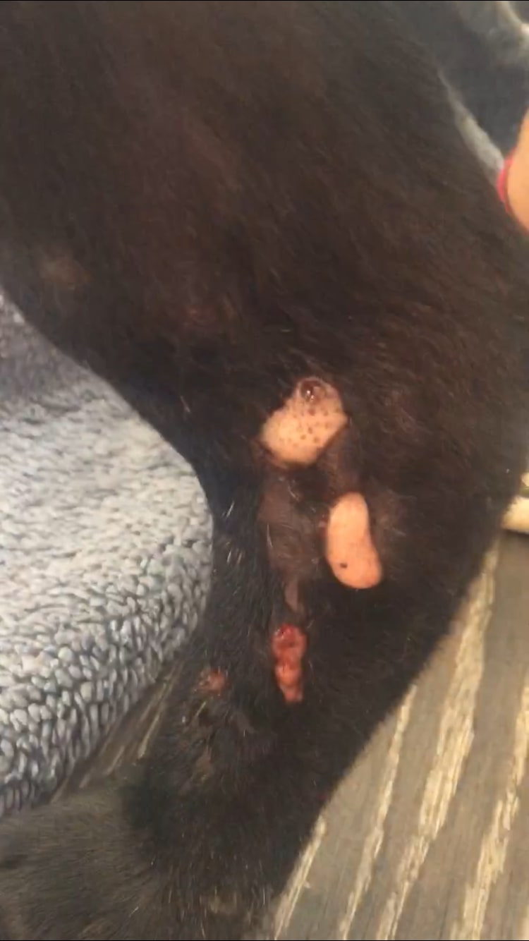 Question details sensitive content