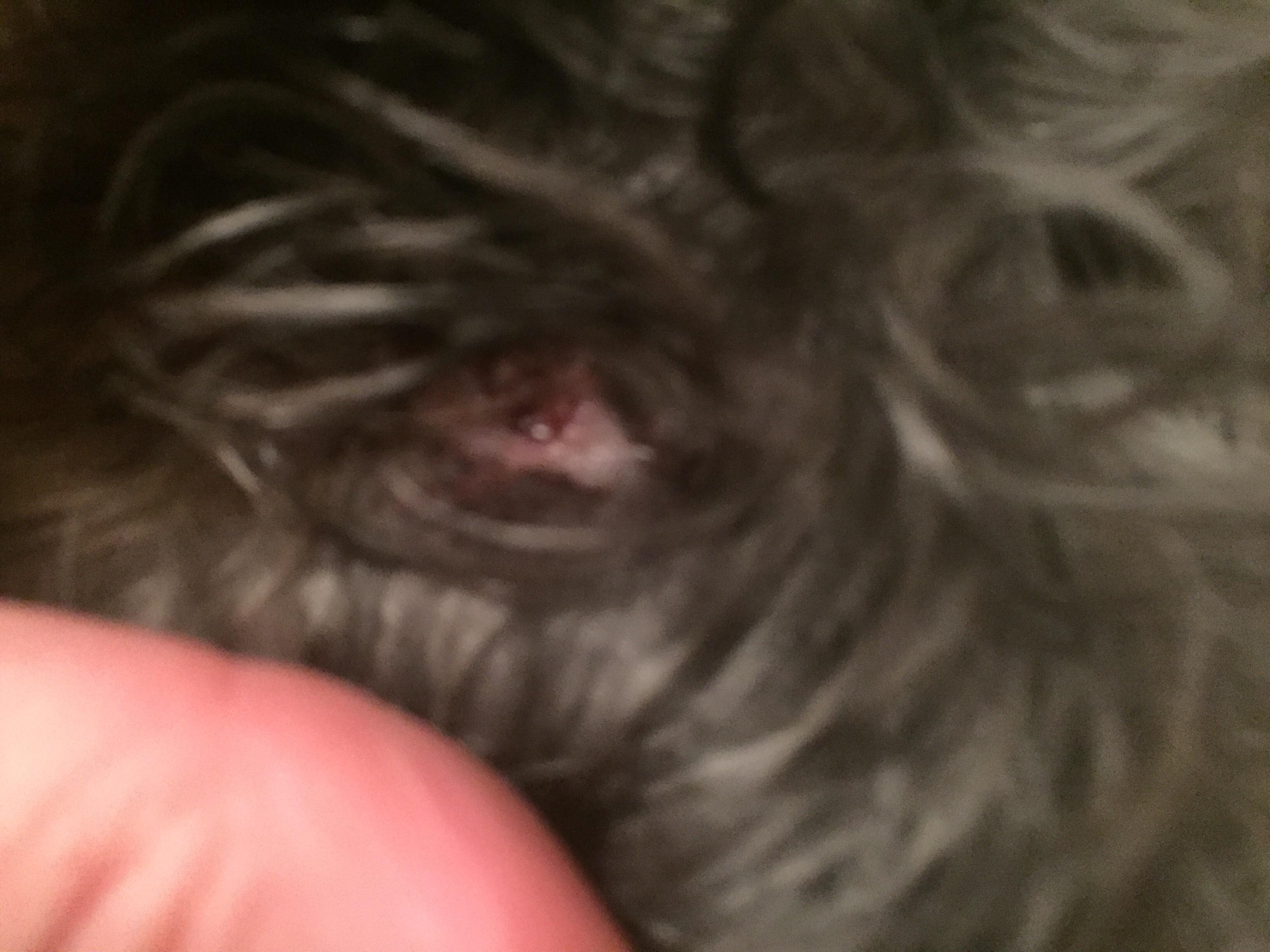 Question details sensitive content