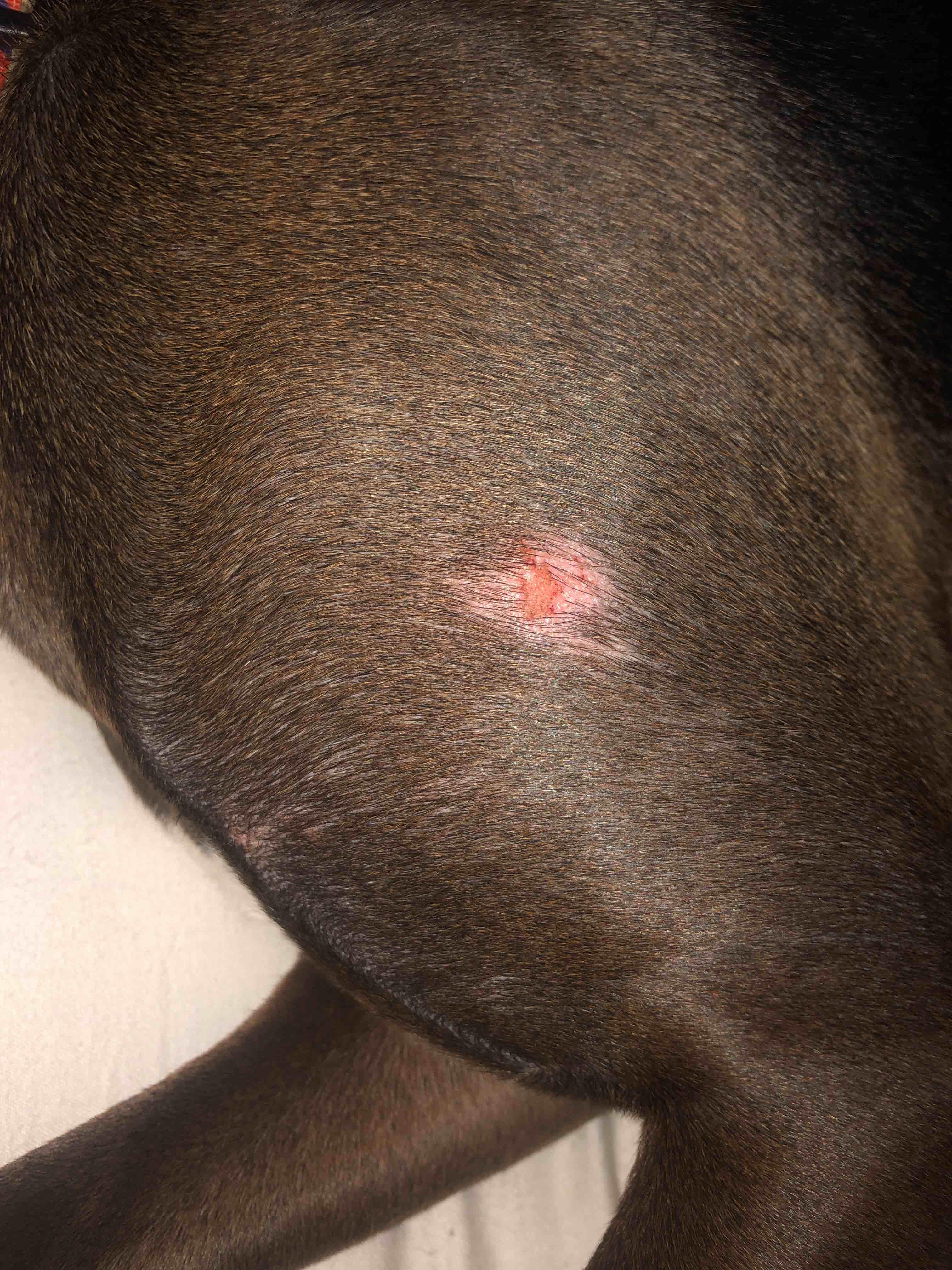 Question details sensitive content