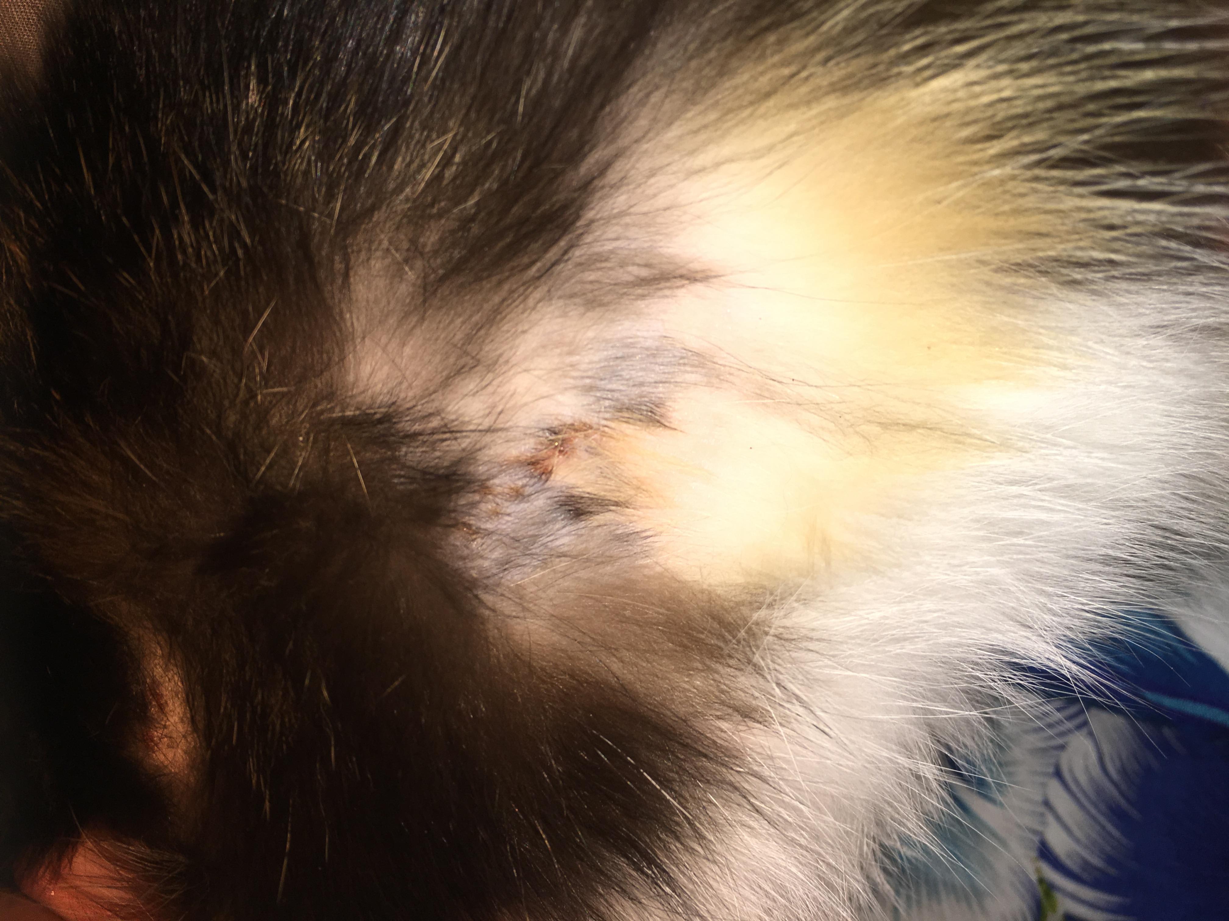 Question details sensitive content