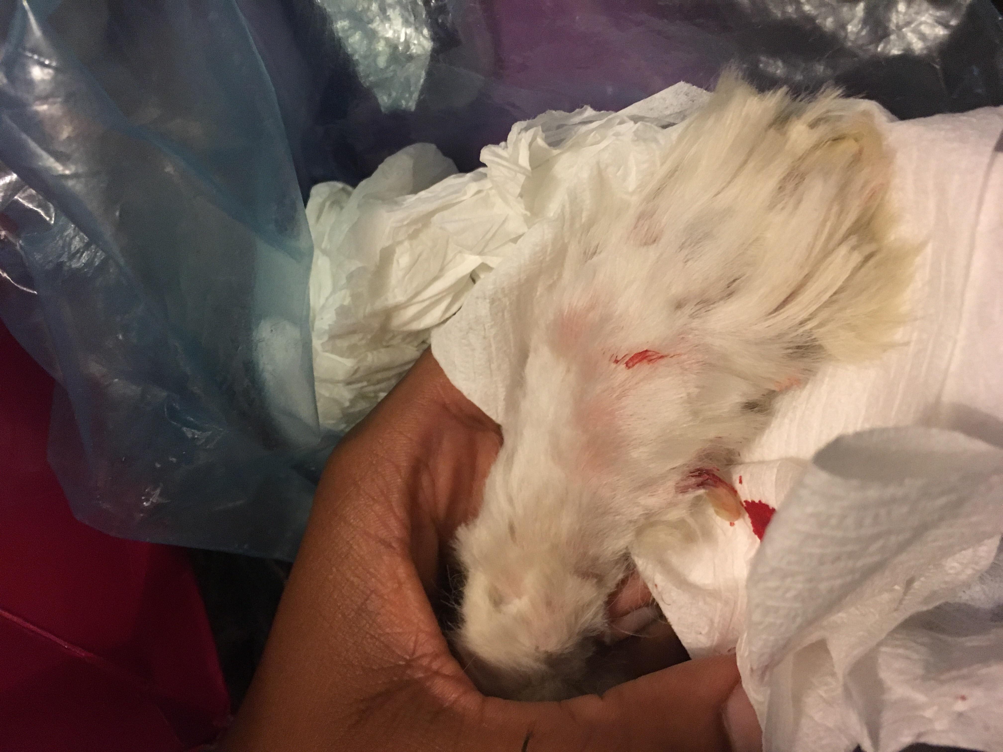 Question details sensitive content