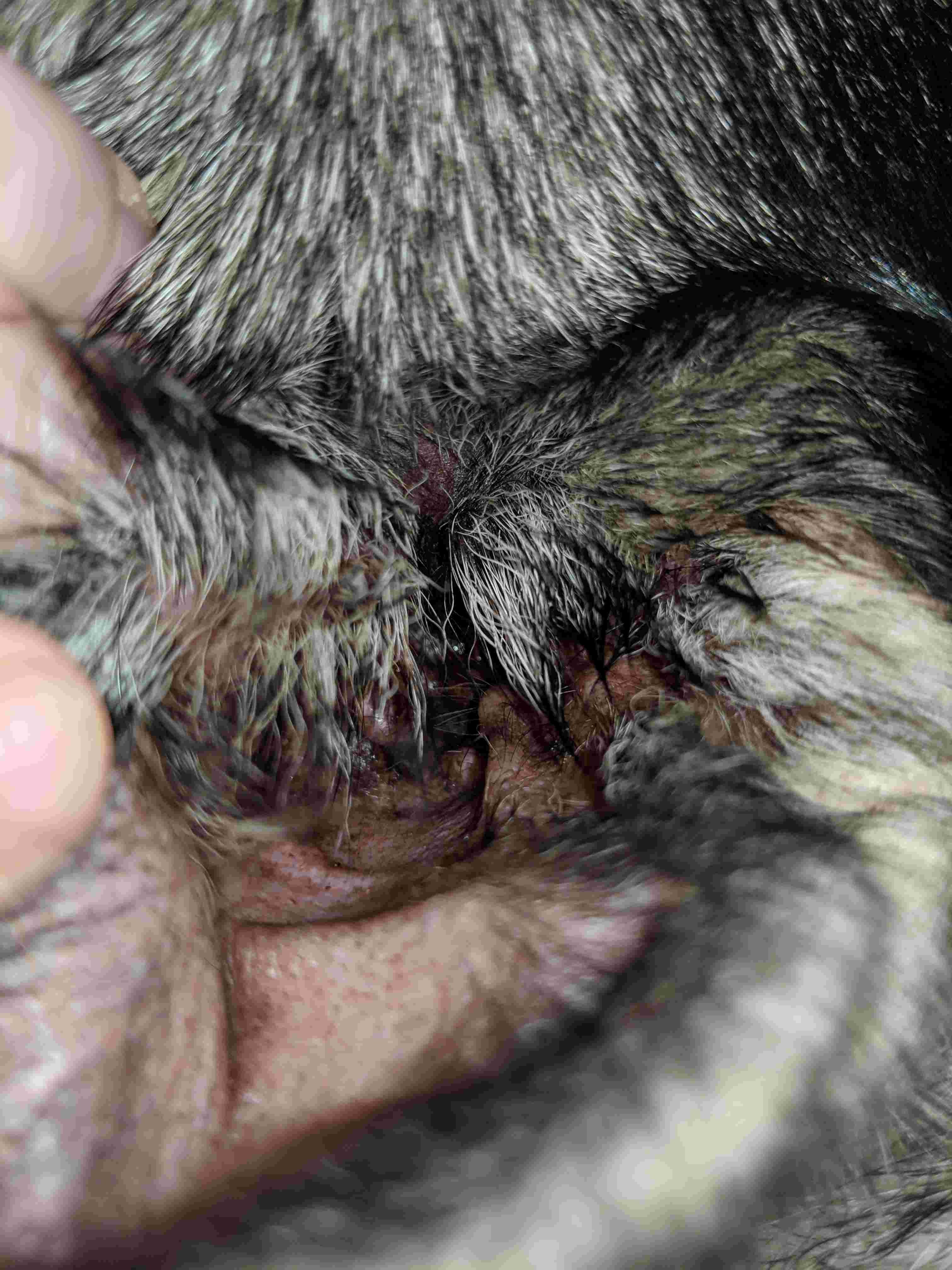 Question details sensitive content