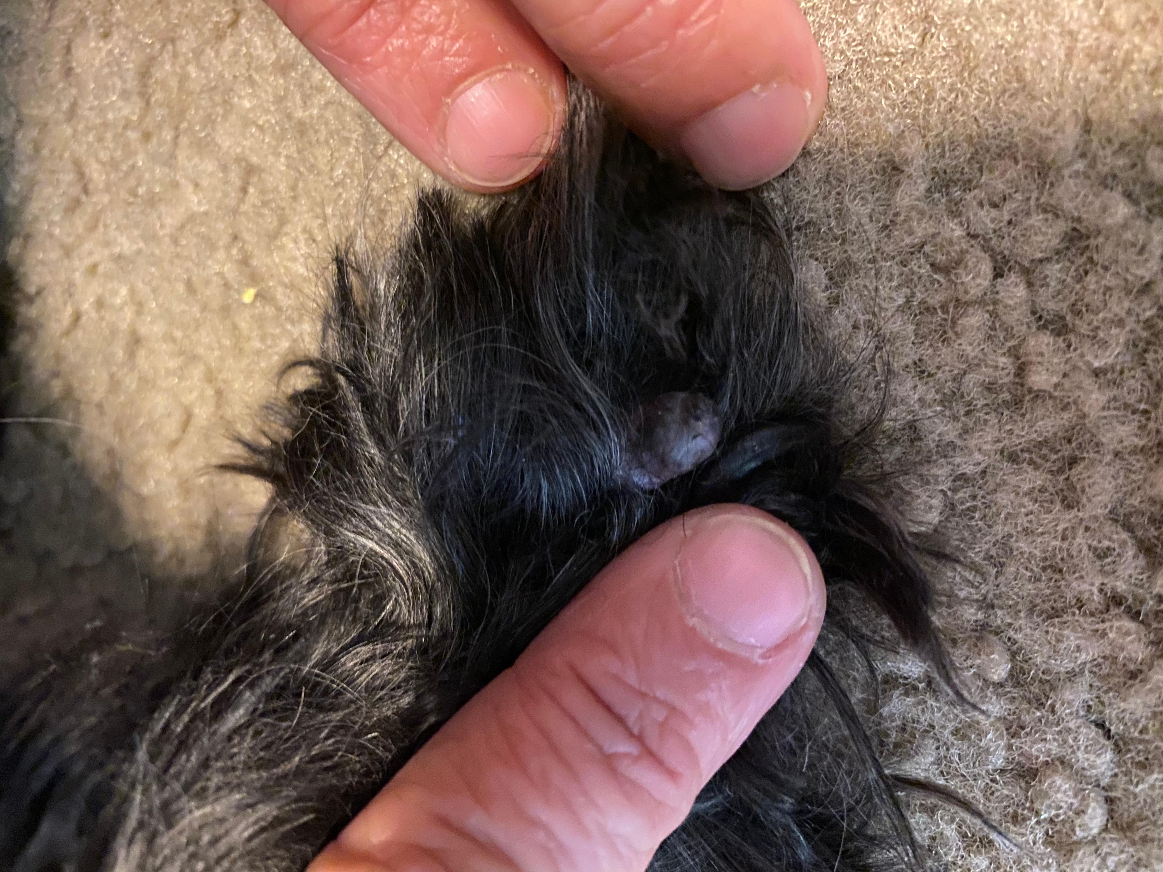 Question details sensitive content