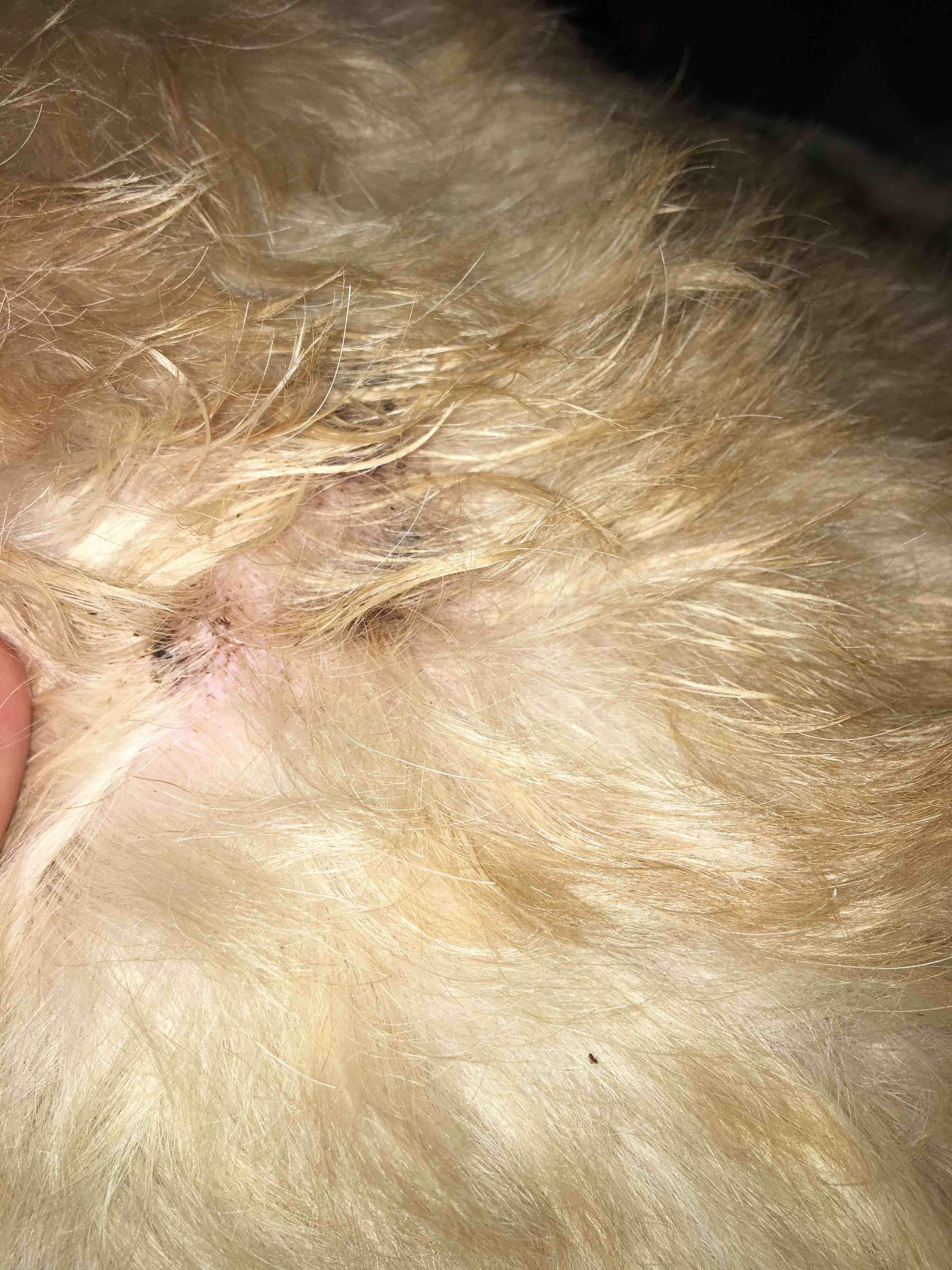 Question details sensitive content