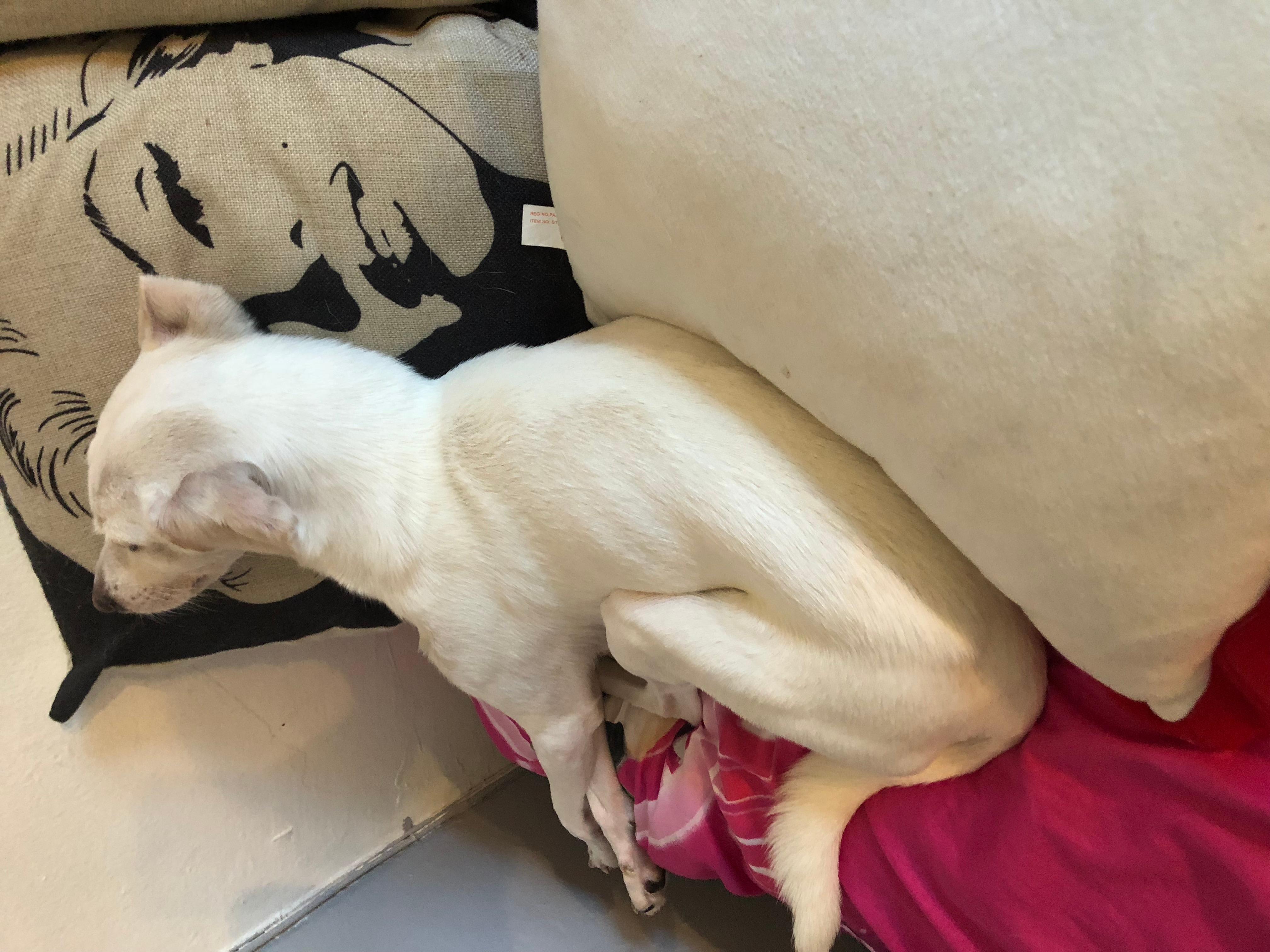 Question details sensitive content