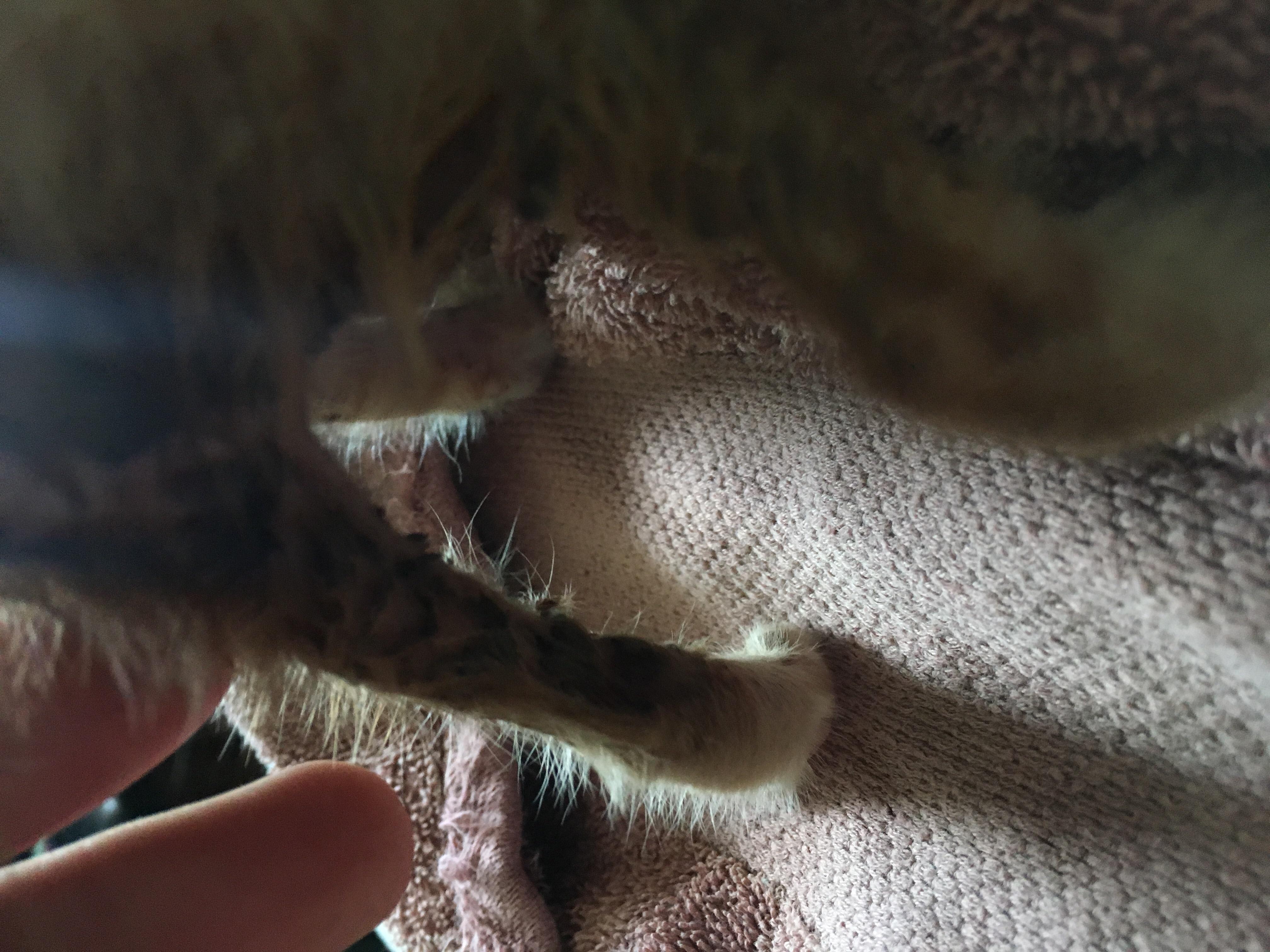 Question details sensitive content