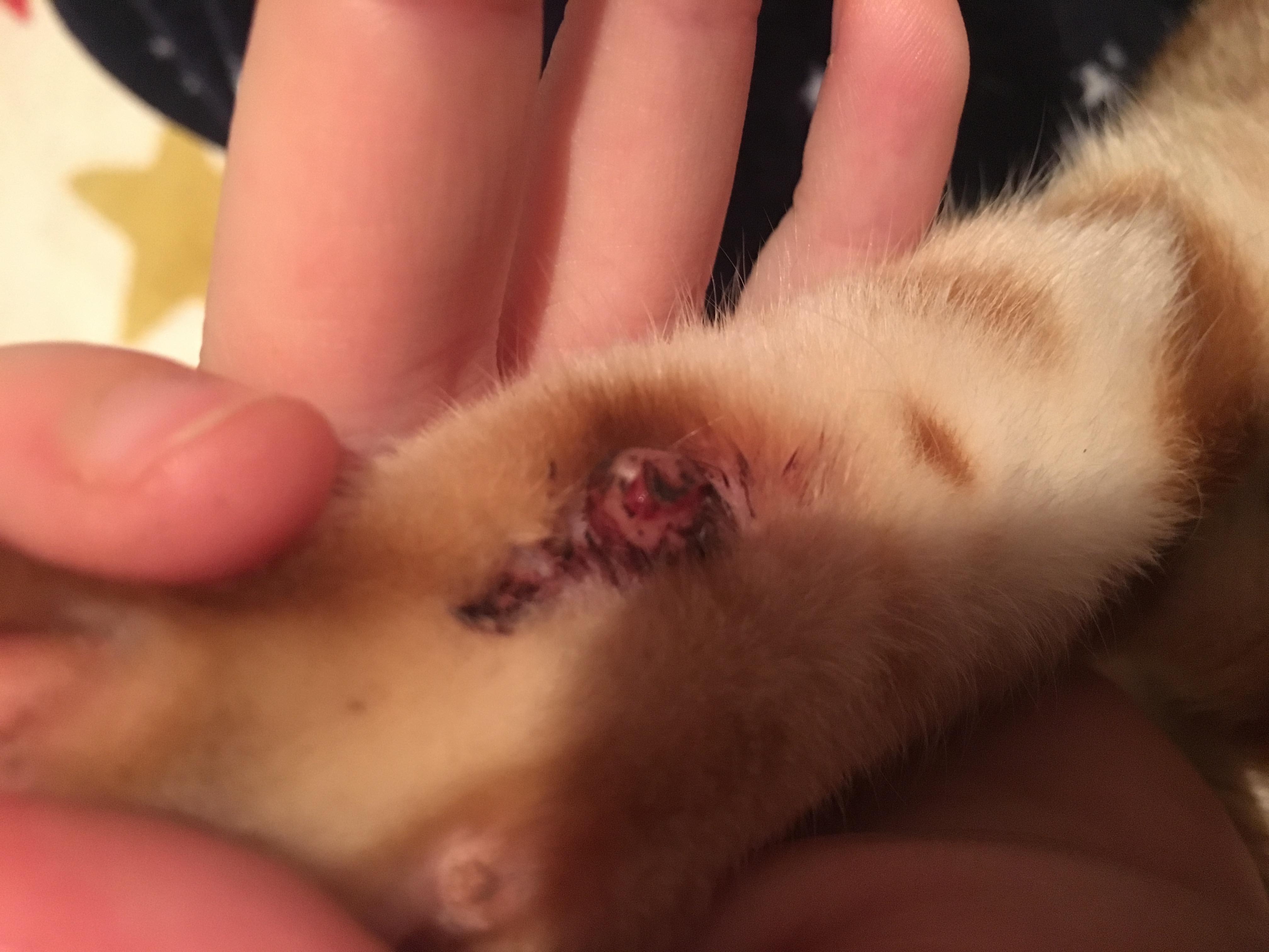 Question details sensitive content