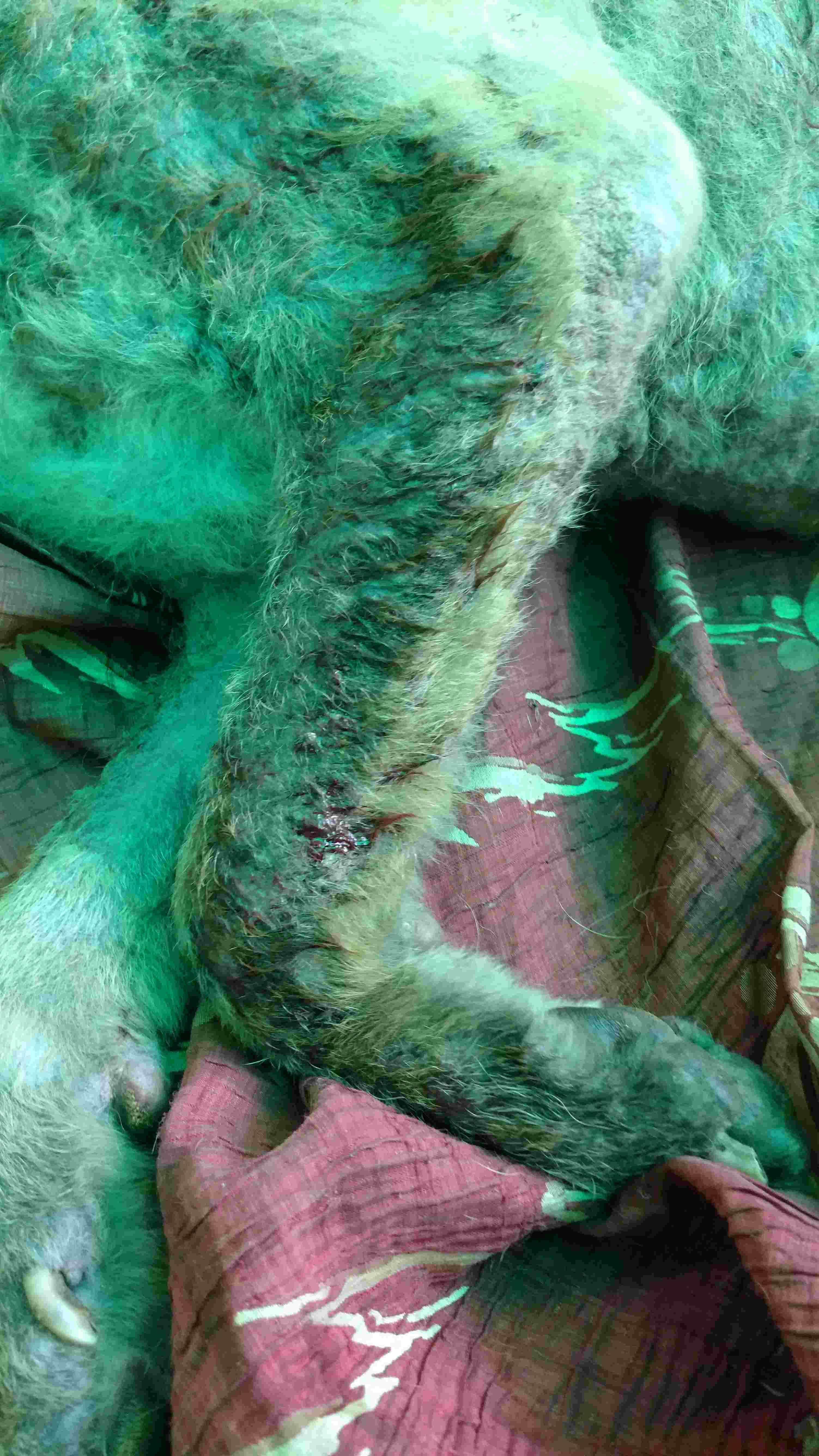 Question details sensitive content