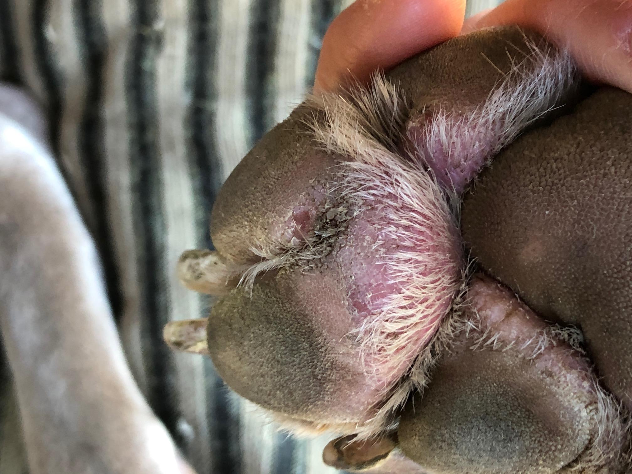 Question details sensitive content