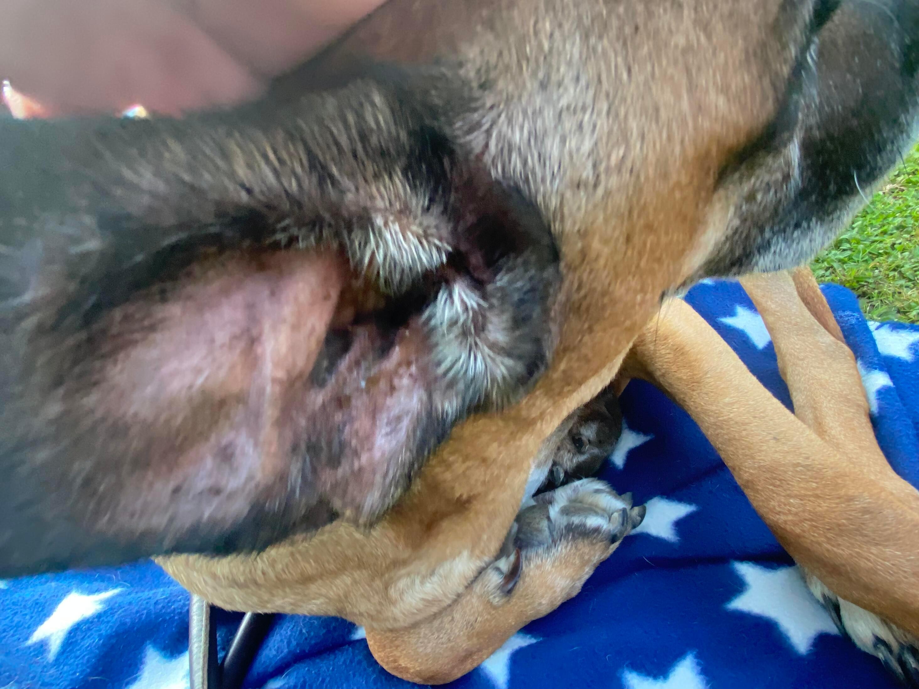 Question details sensitive content