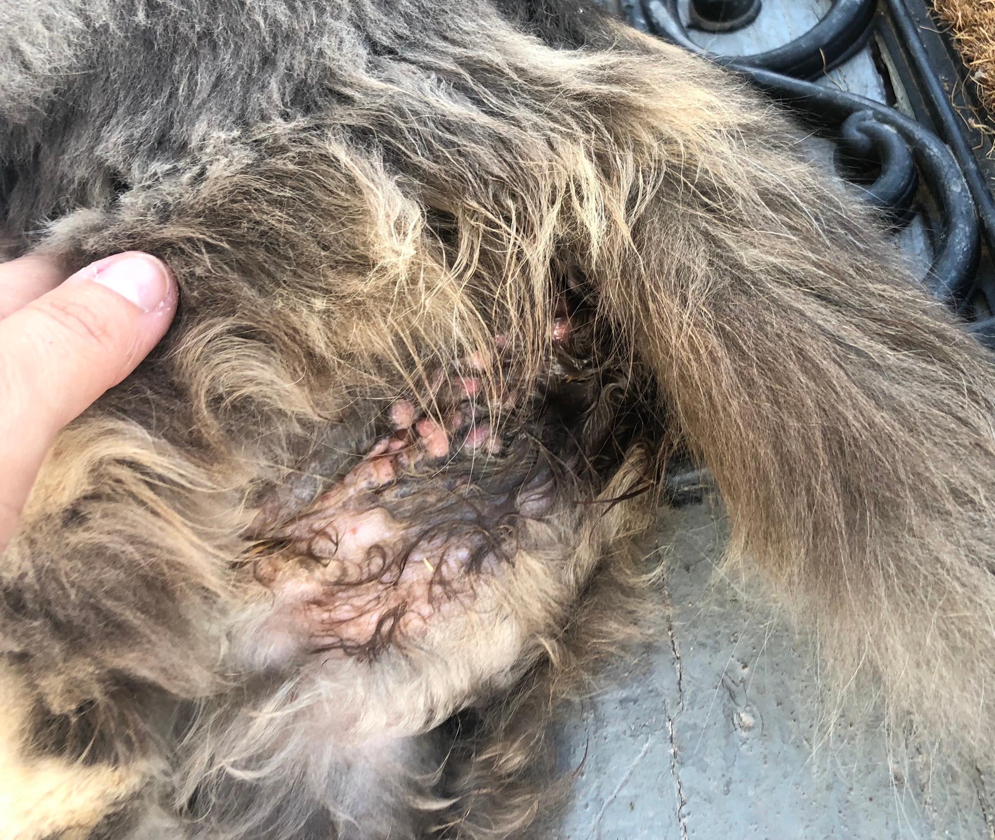 Question details sensitive content