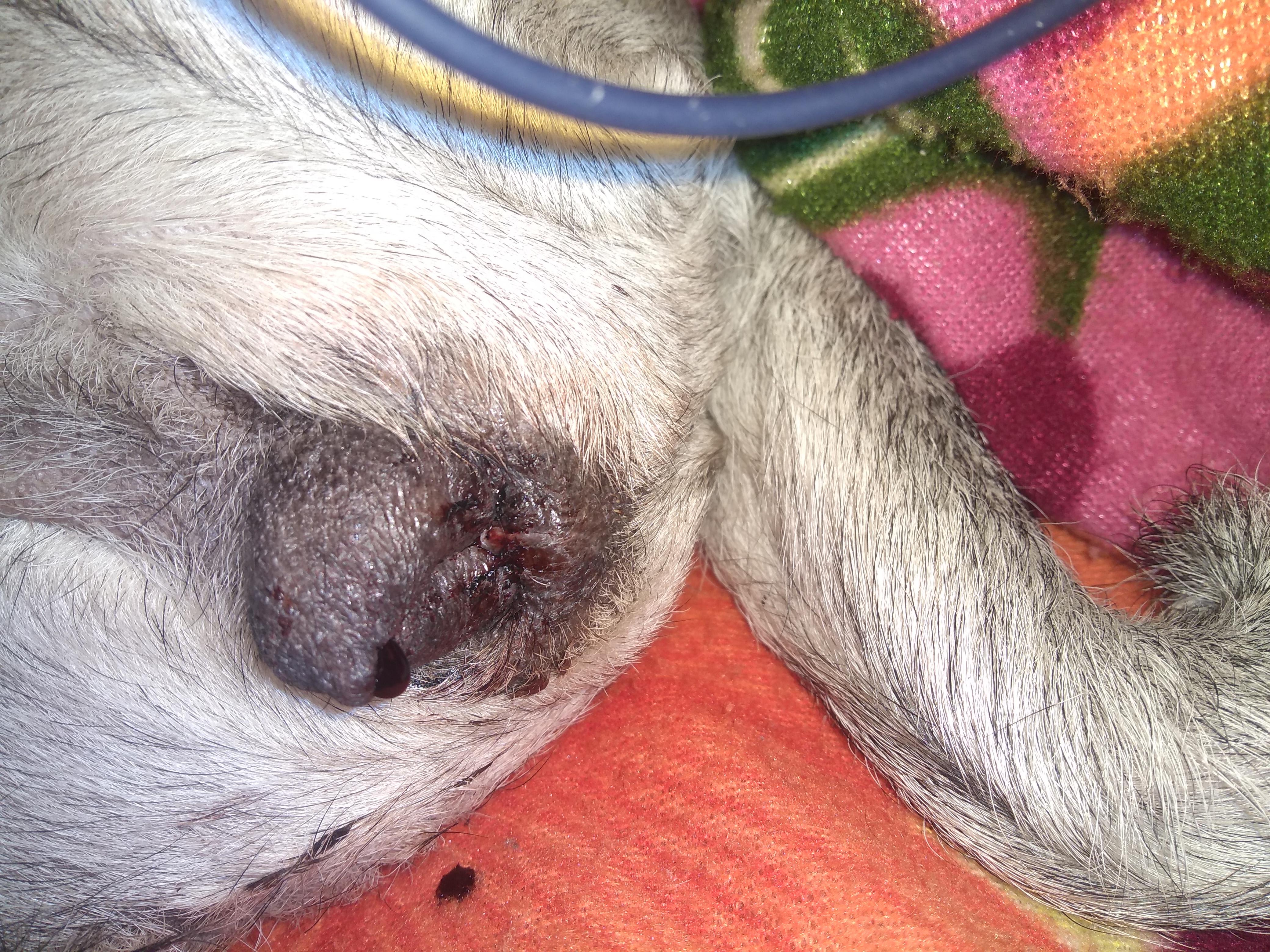 Question details sensitive content