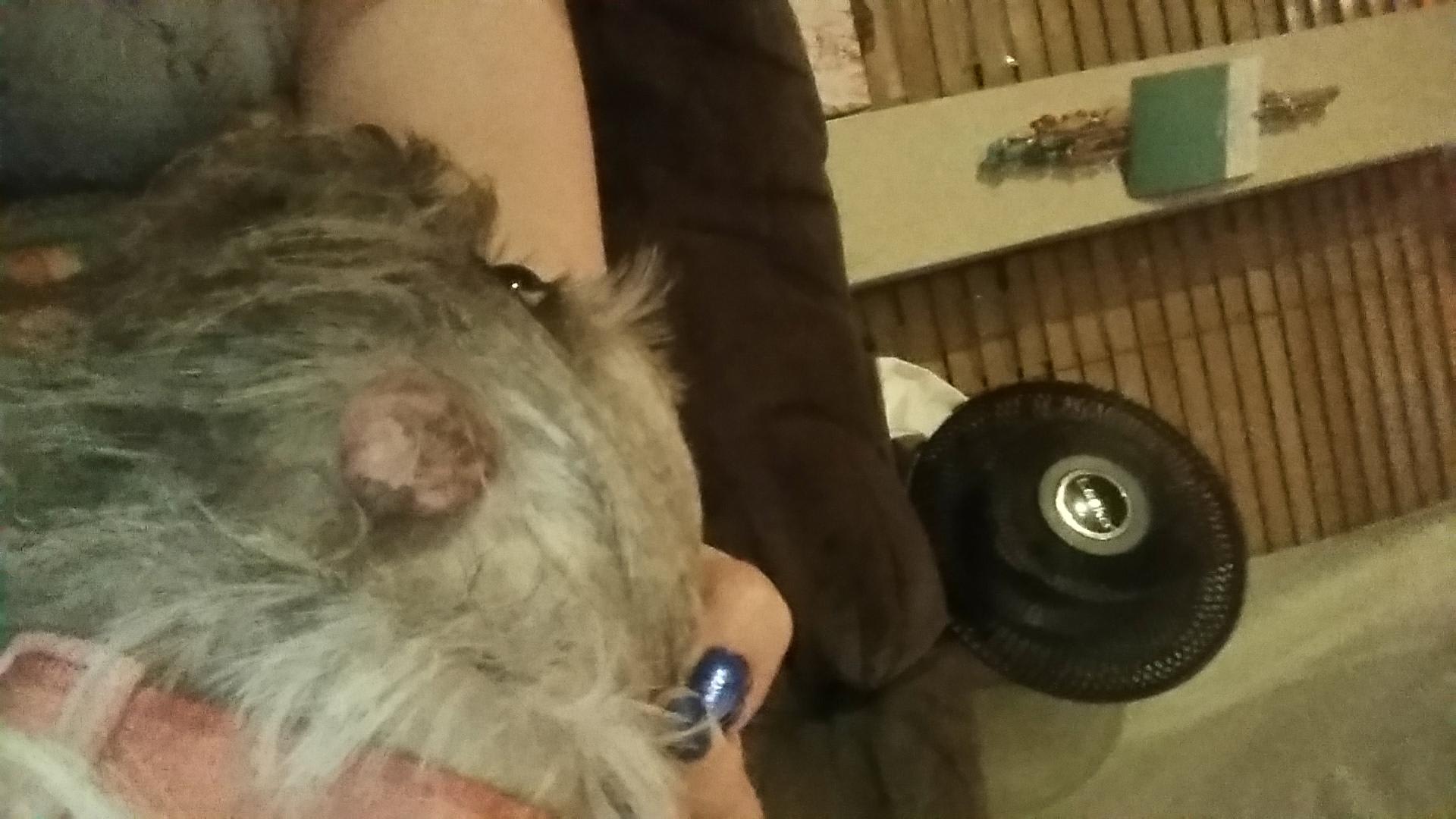 Question details sensitive content