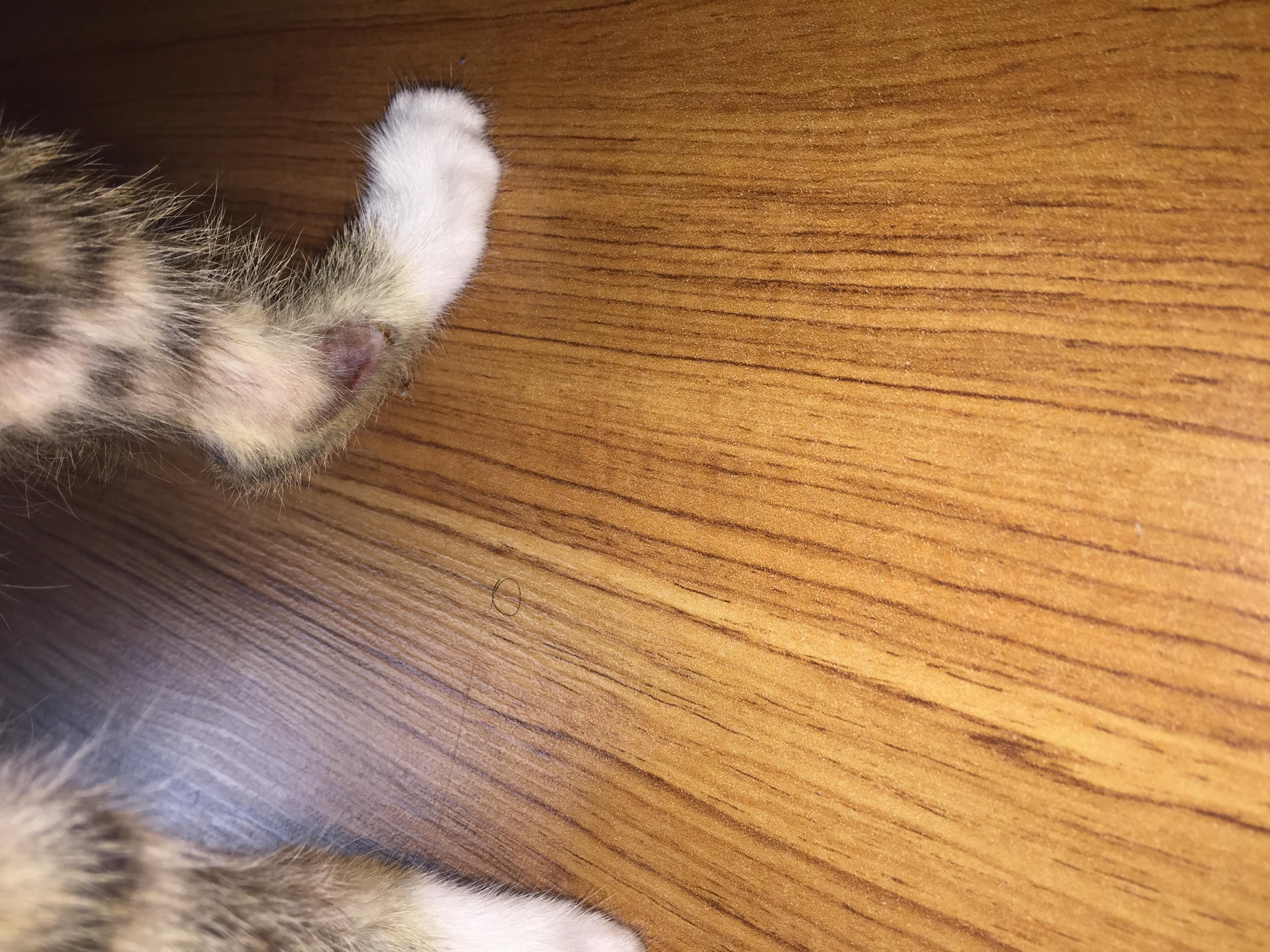 Question details sensitive content