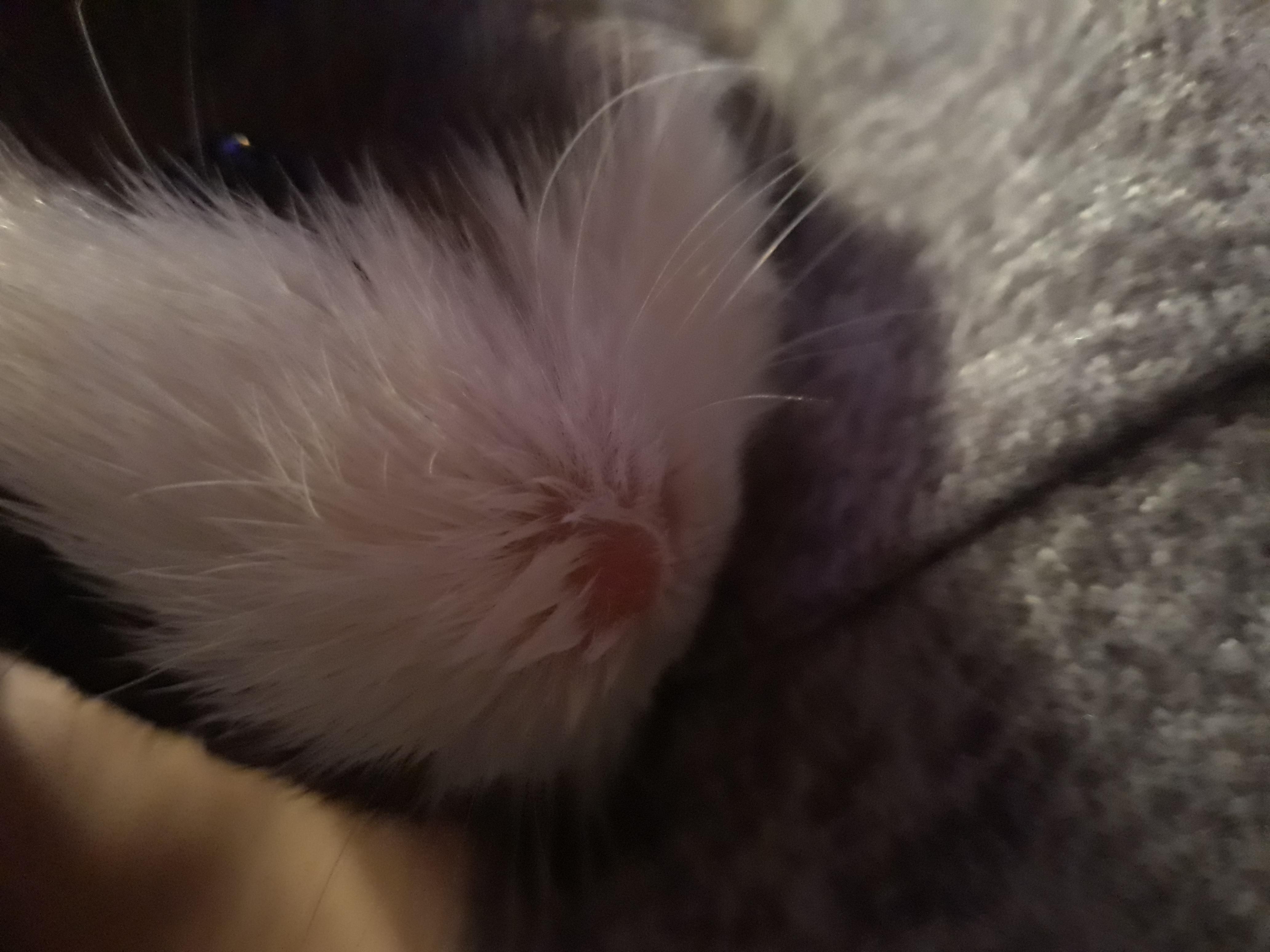 Question details sensitive content