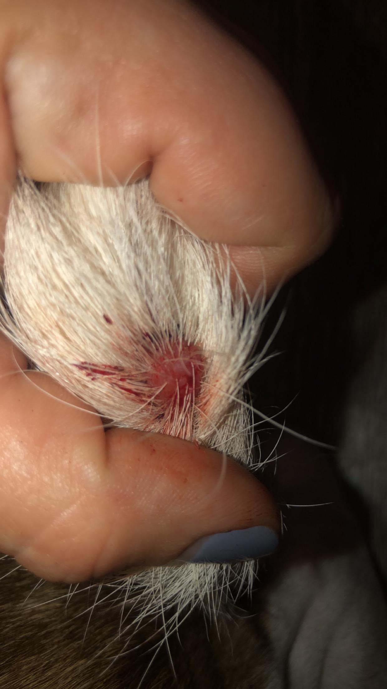 Question details sensitive content