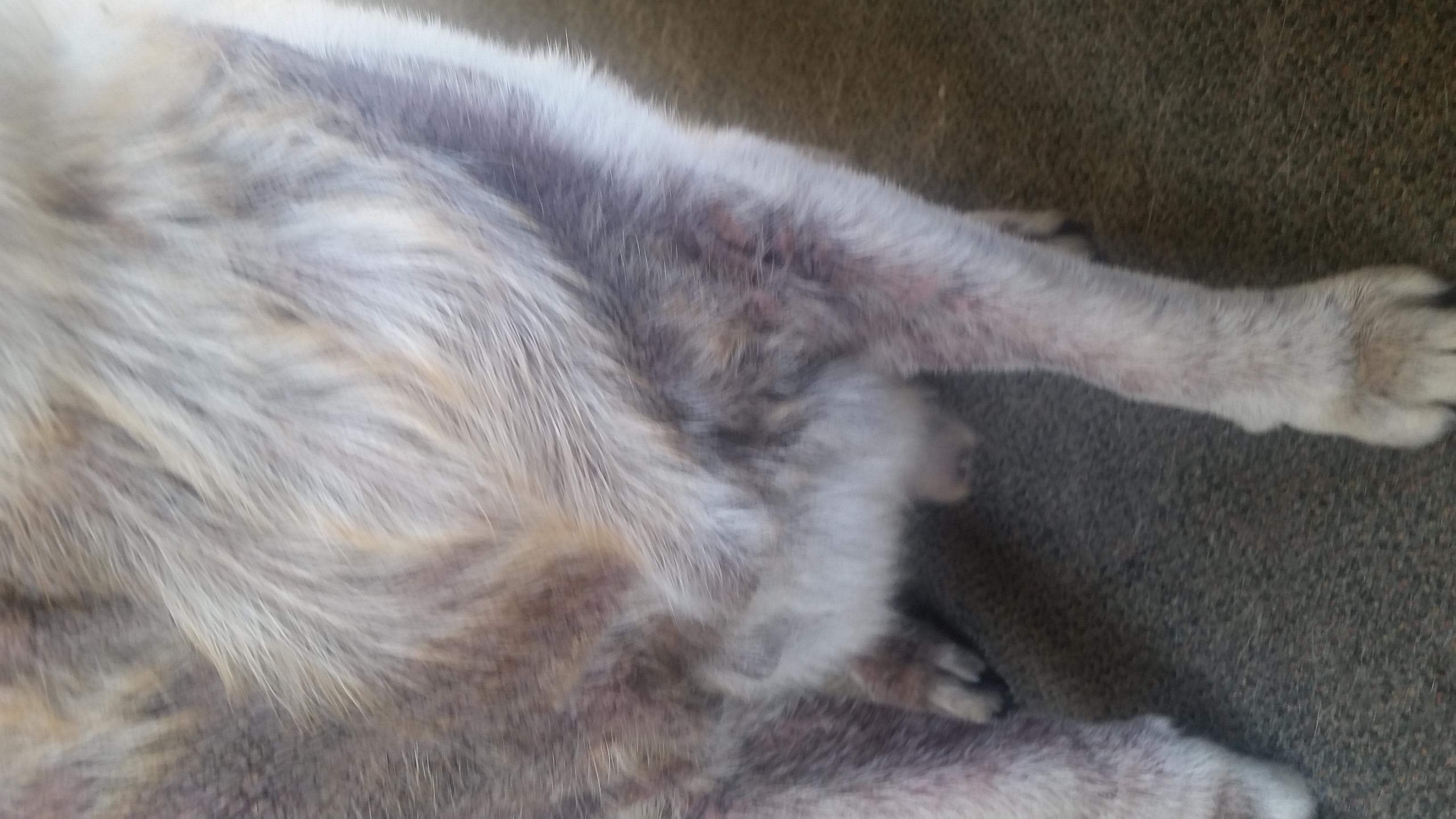 Question details sensitive content