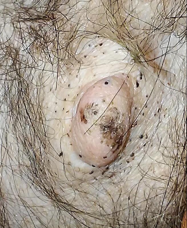 Question details sensitive content