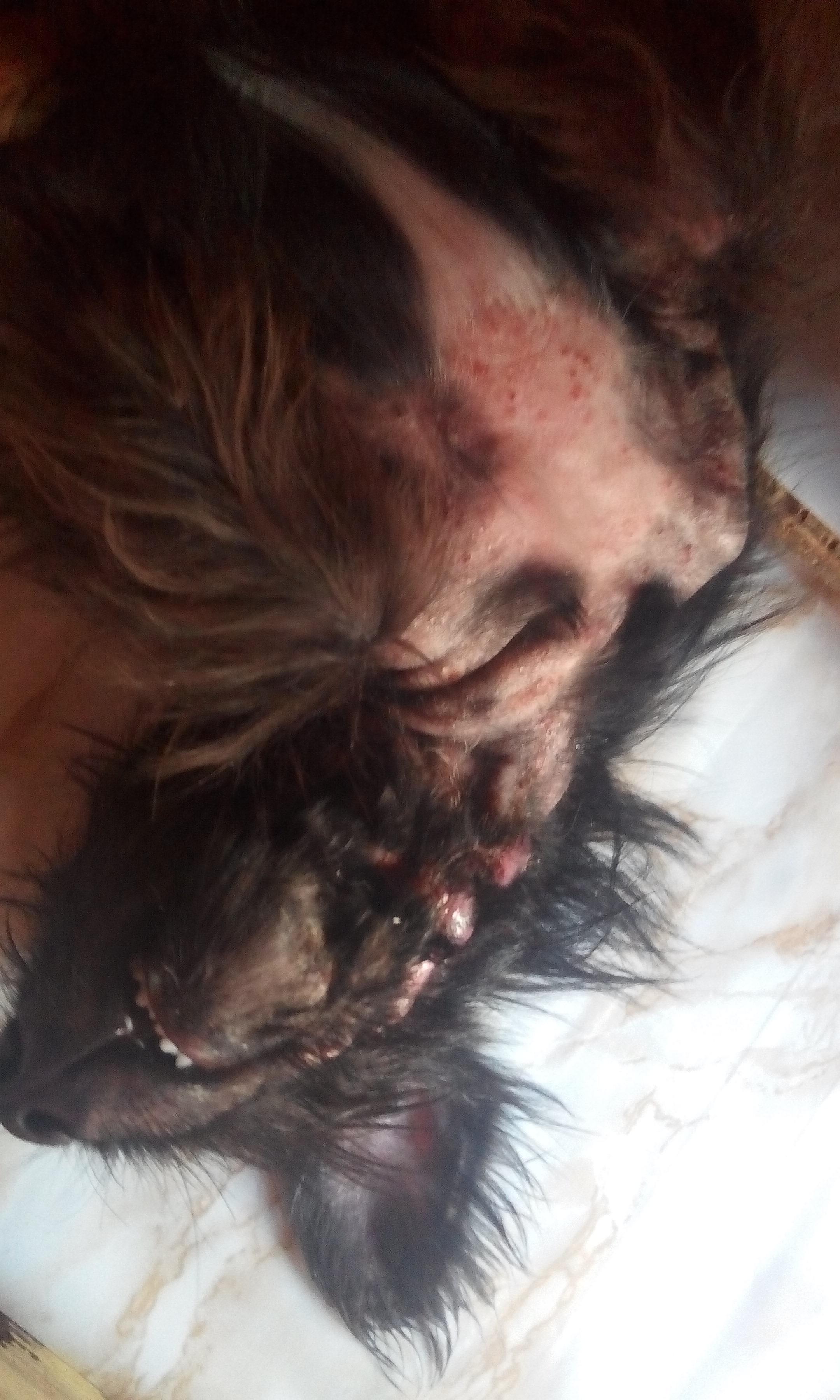 Question details sensitive content