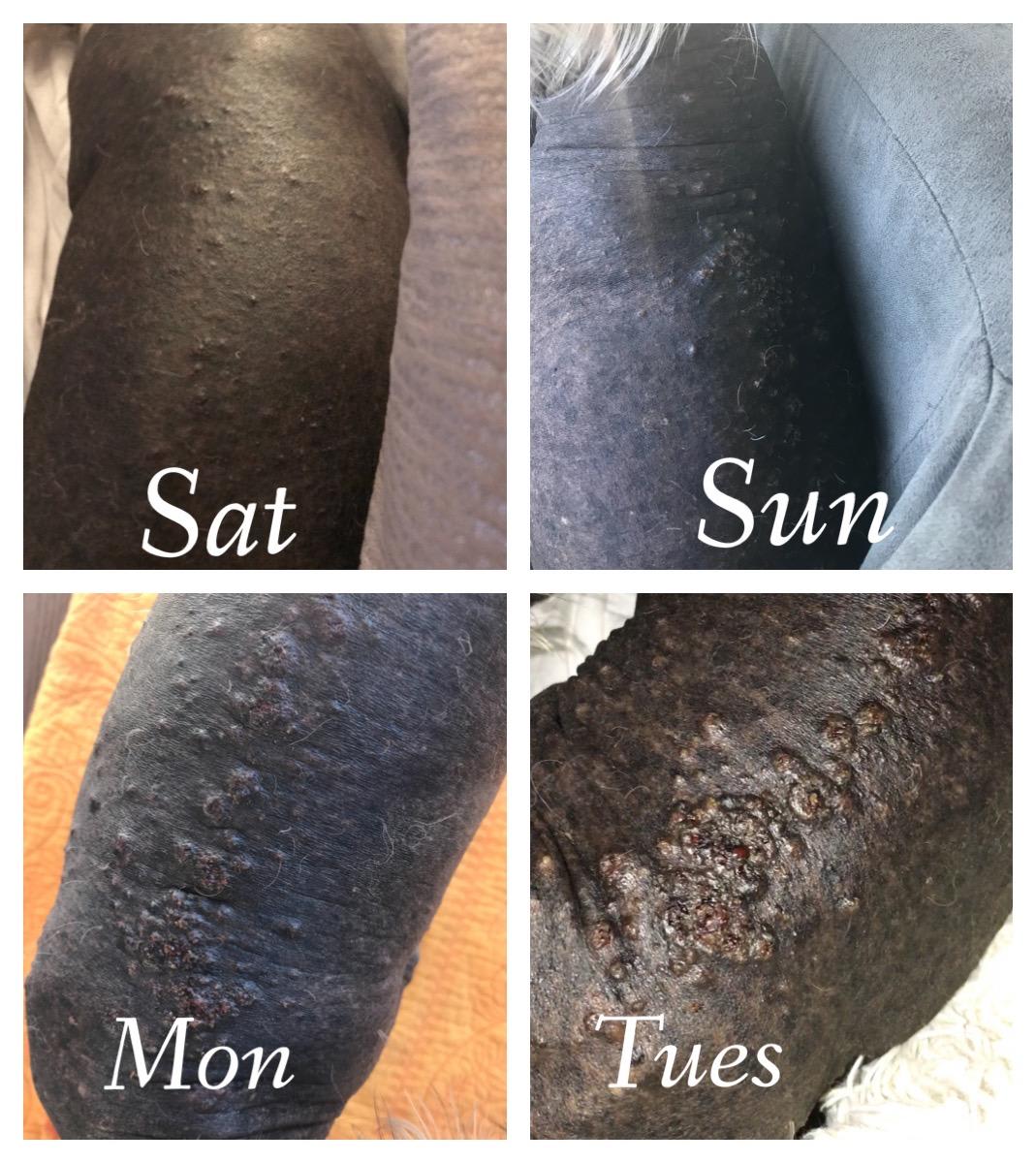 Question details sensitive content