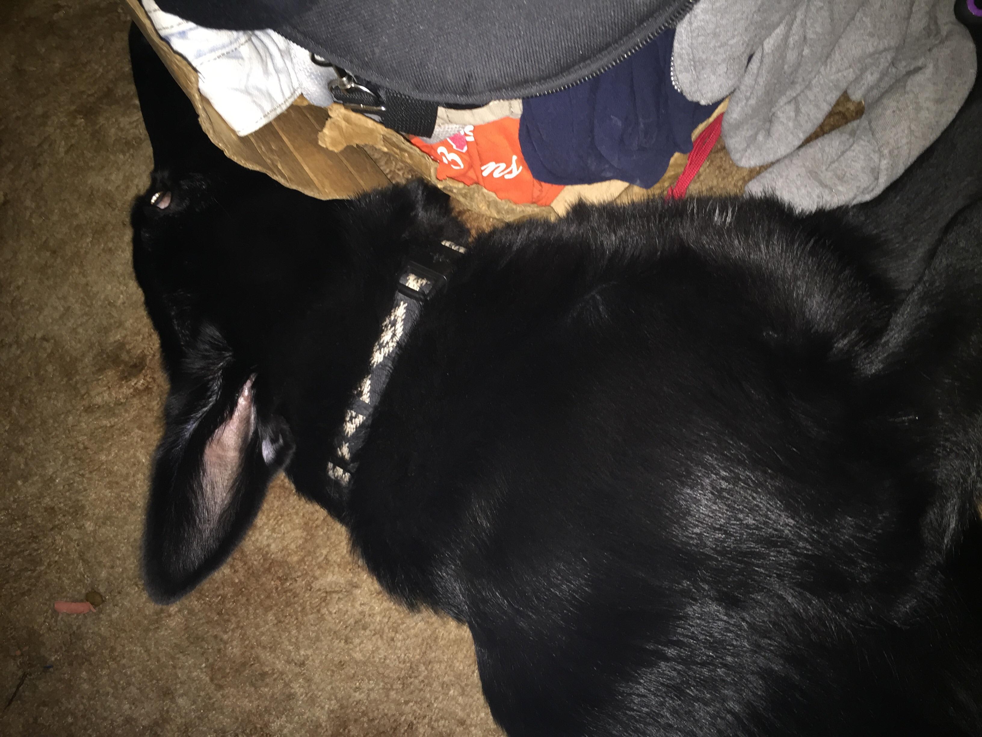 Question details sensitive content